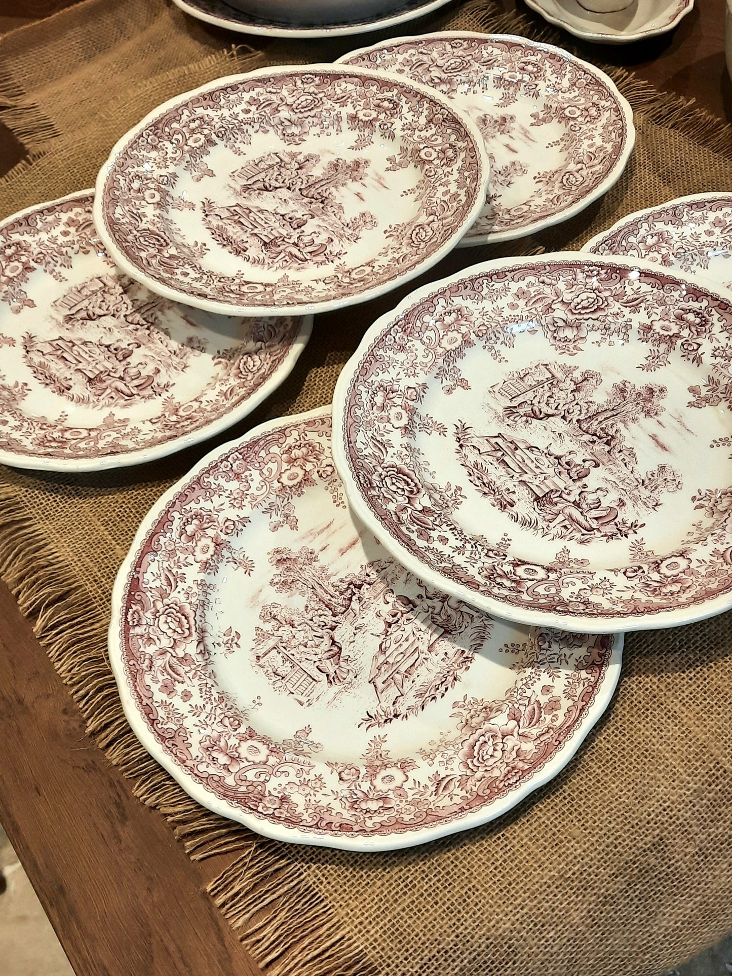 Lot de 6 Assiettes Plates (Légères Ébréchures)