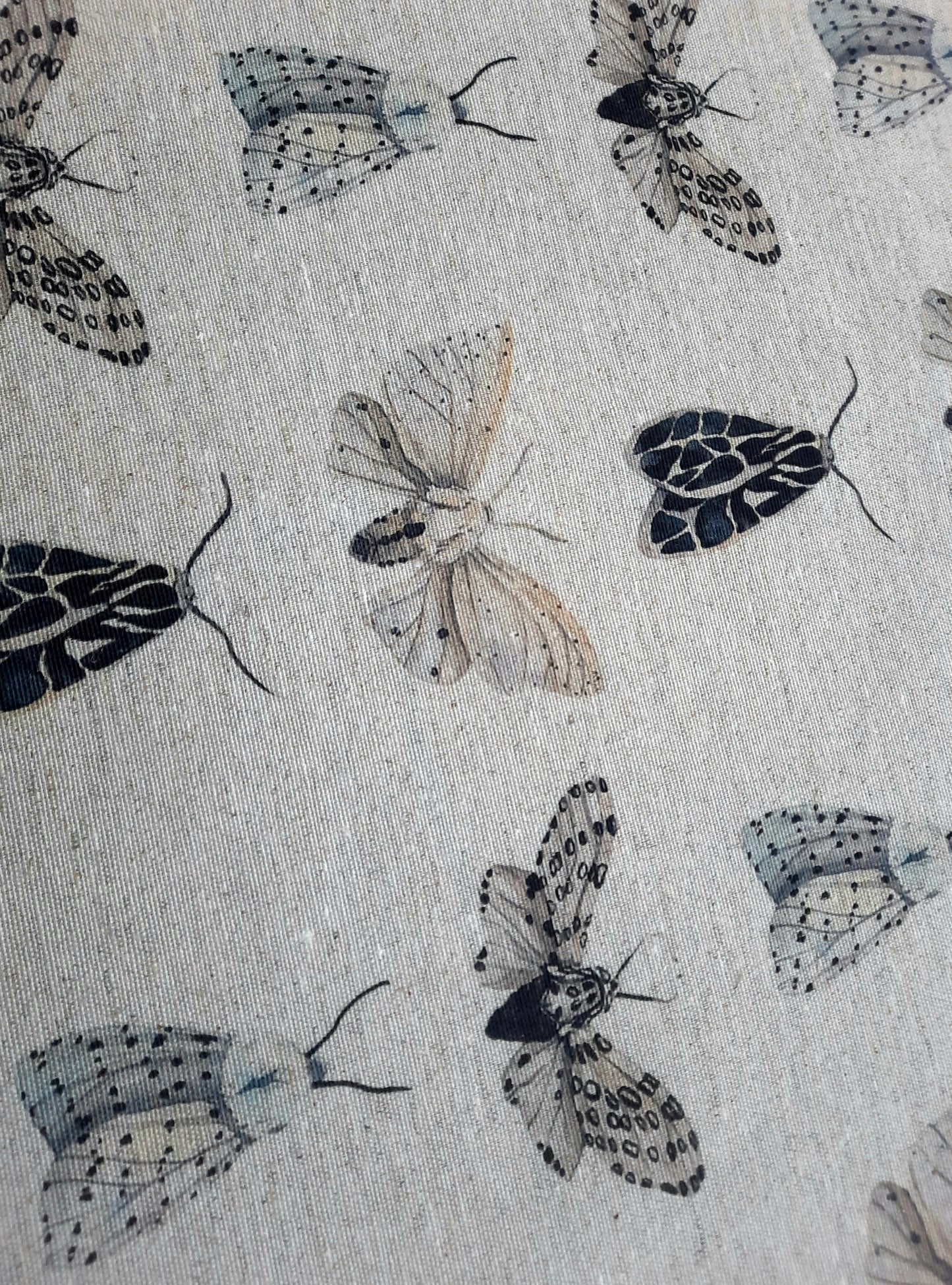 Colección Noiréa🦋