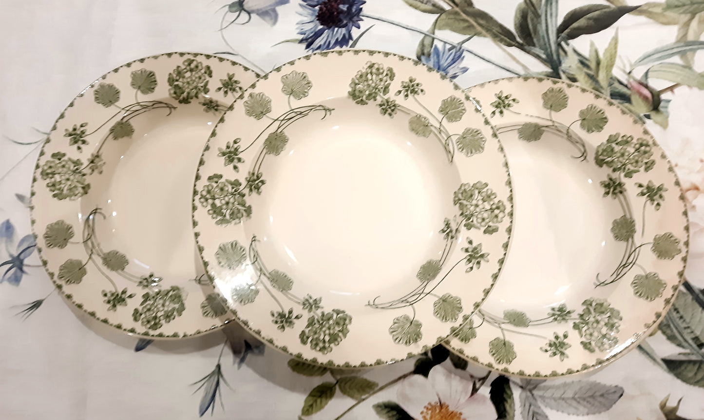 Lot de 4 Assiettes à Soupe Géranium -