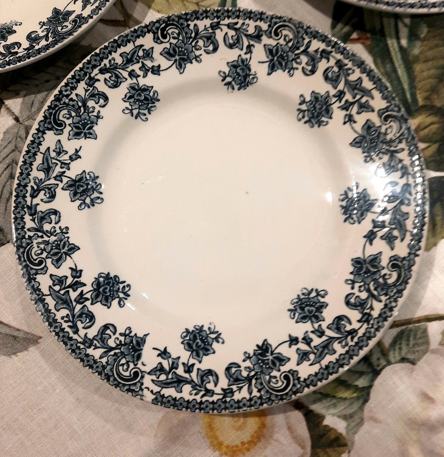 Service de 4 Assiettes Plates Saint-Amand – Modèle Jane – Terre de Fer