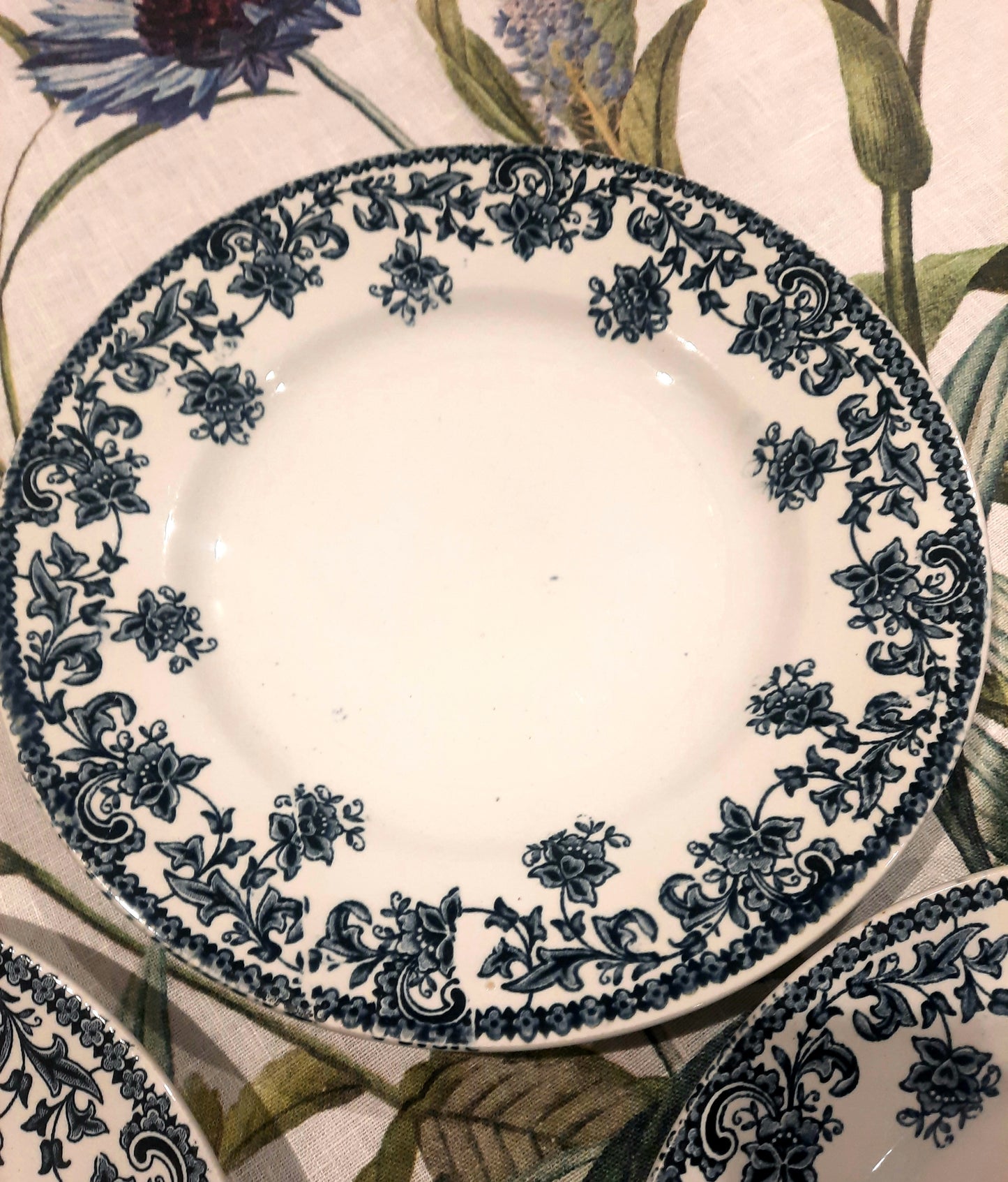 Service de 4 Assiettes Plates Saint-Amand – Modèle Jane – Terre de Fer