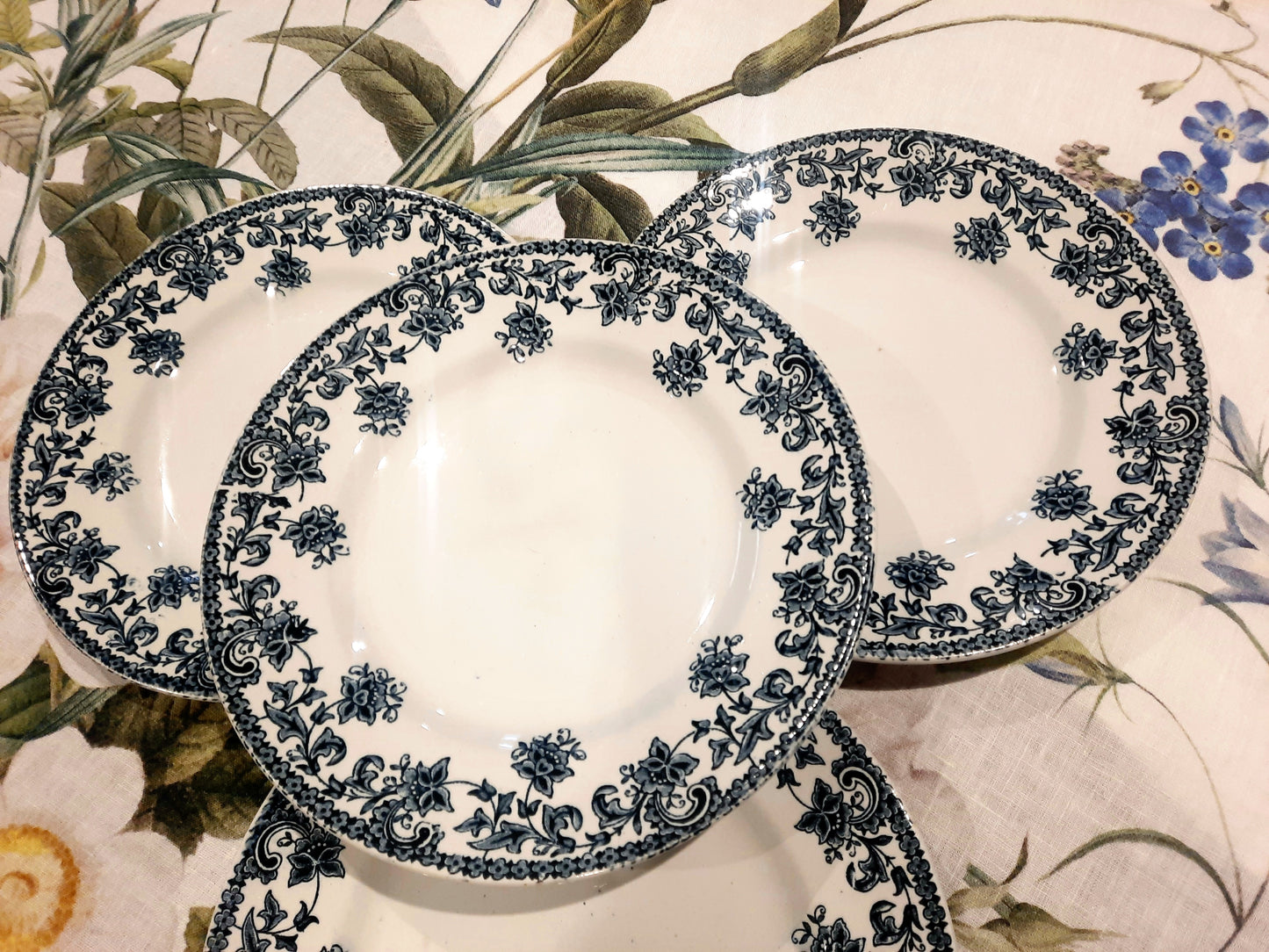 Service de 4 Assiettes Plates Saint-Amand – Modèle Jane – Terre de Fer