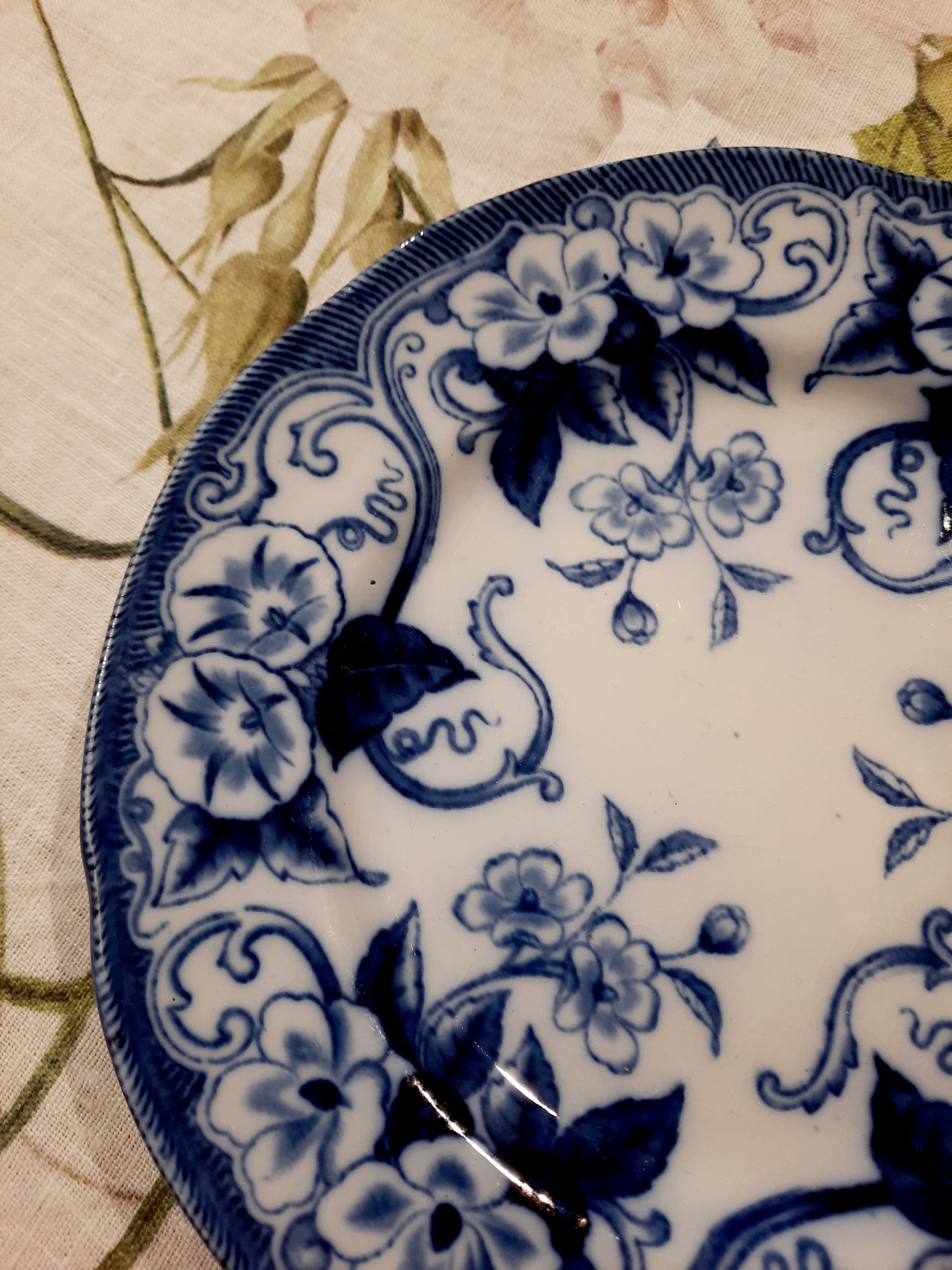 Plato de postre “Flora” – B&Cie Creil Montereau