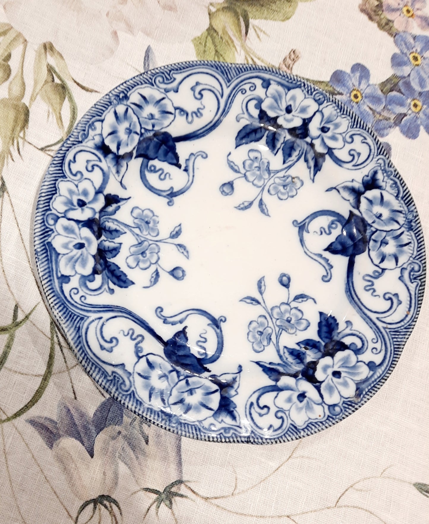 Plato de postre “Flora” – B&Cie Creil Montereau