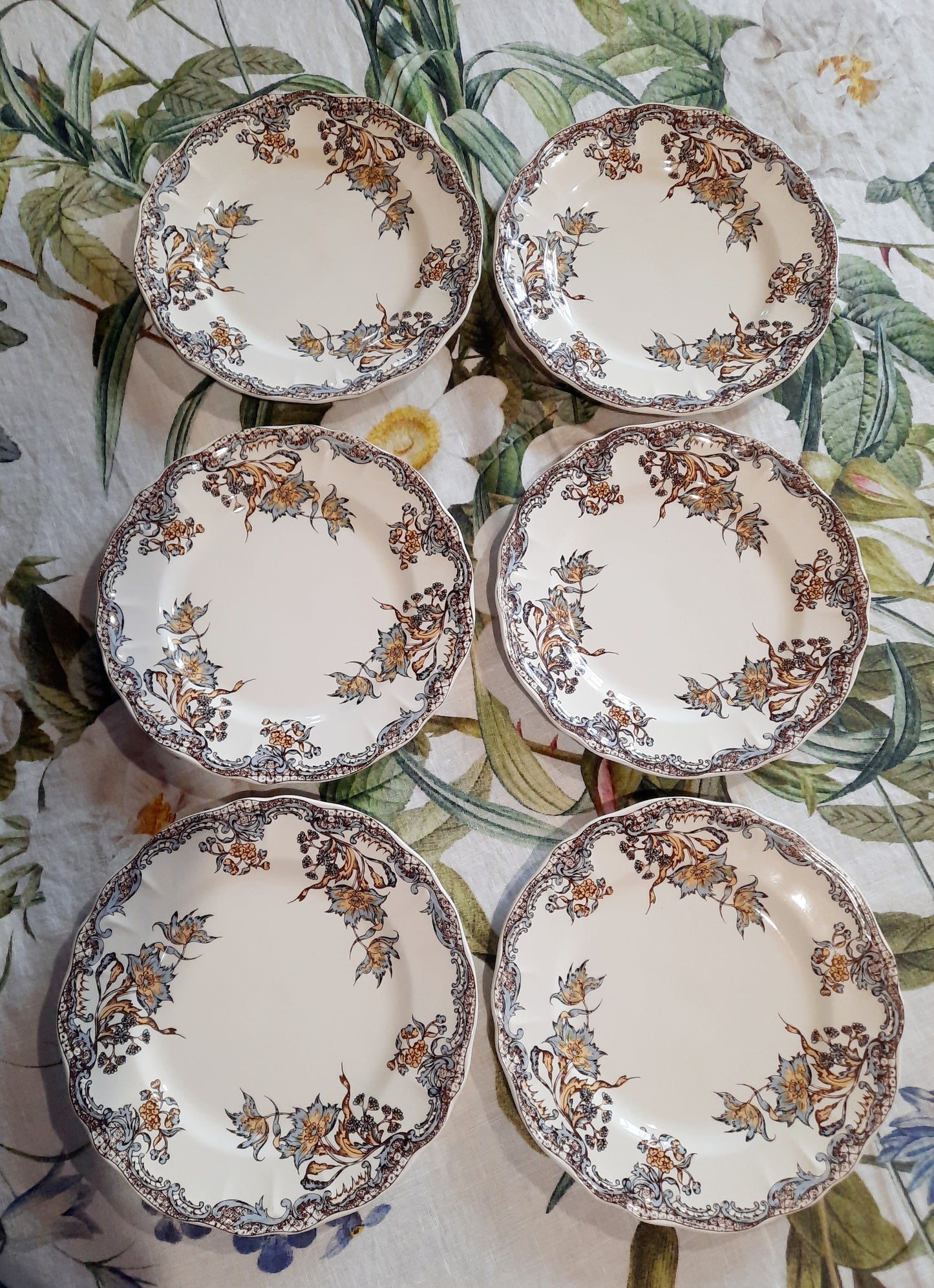 Service de 6 assiettes à dessert Salins "Chevreuse"