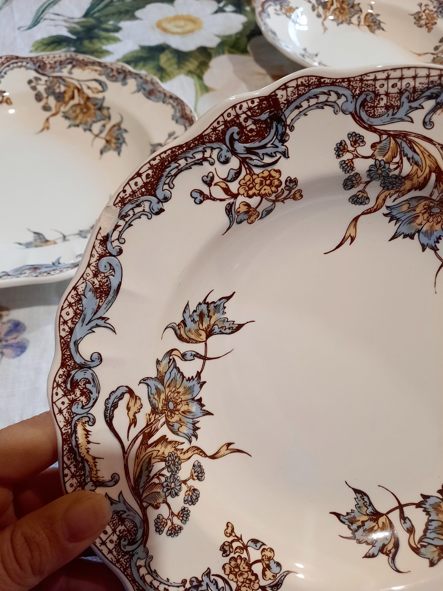 Service de 6 assiettes creuses "Chevreuse" !