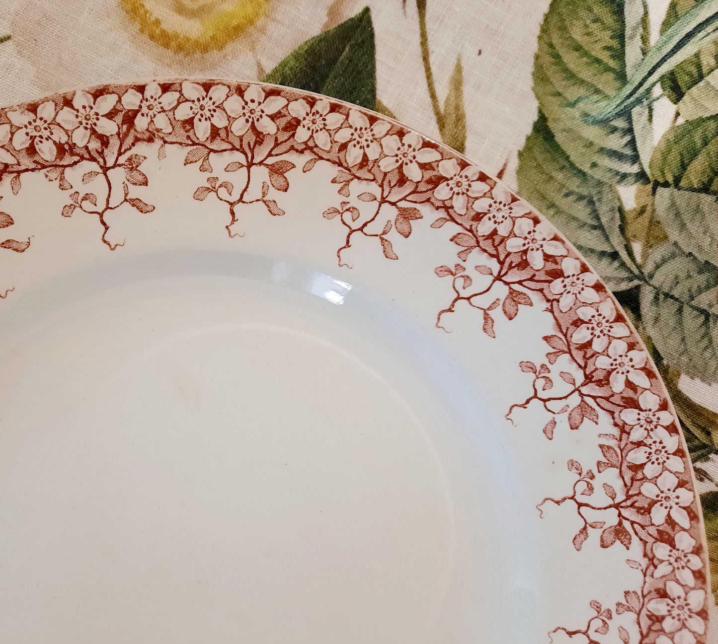 Plat rond Sarreguemines "Florine"