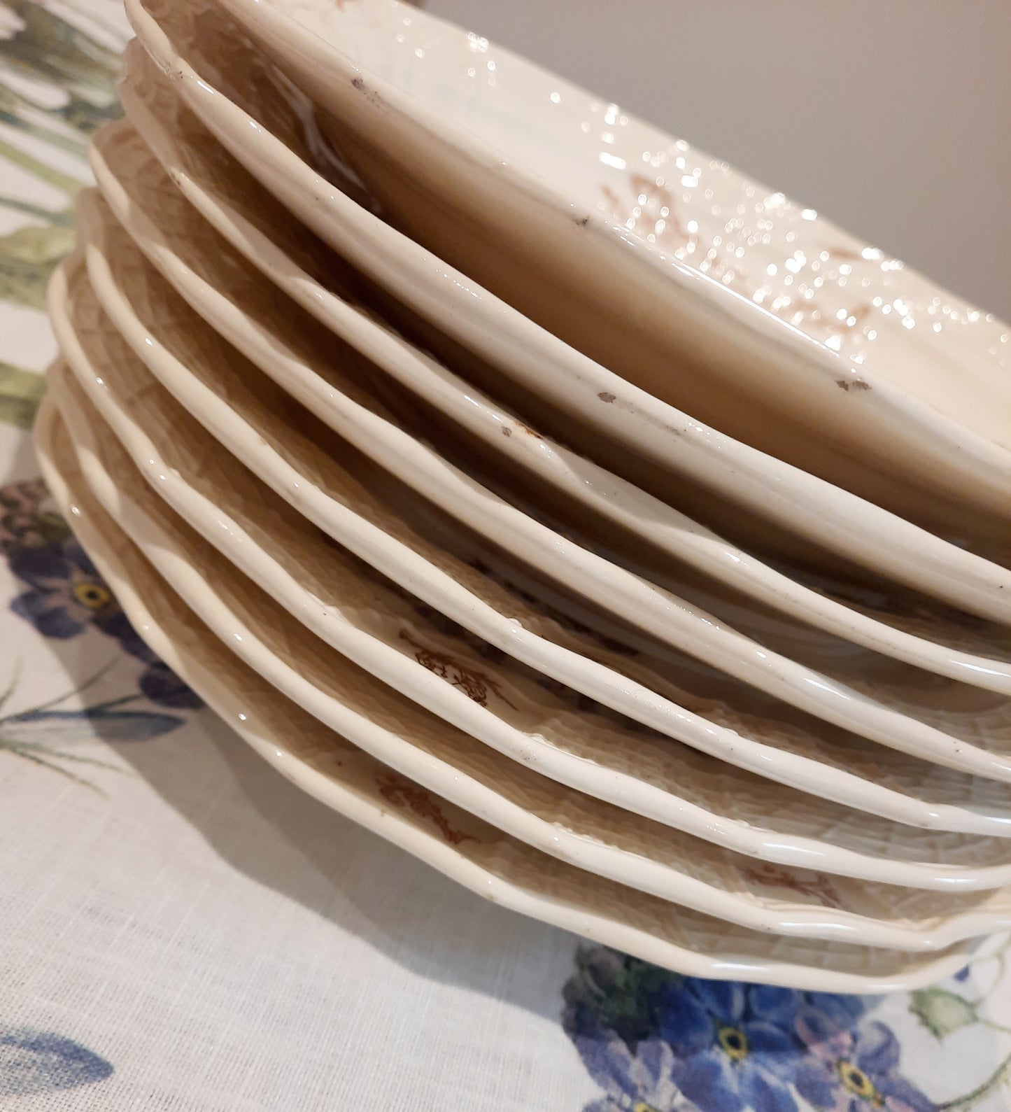 Lot de 8 assiettes plates – Manufacture Waechtersbach, XIXe siècle