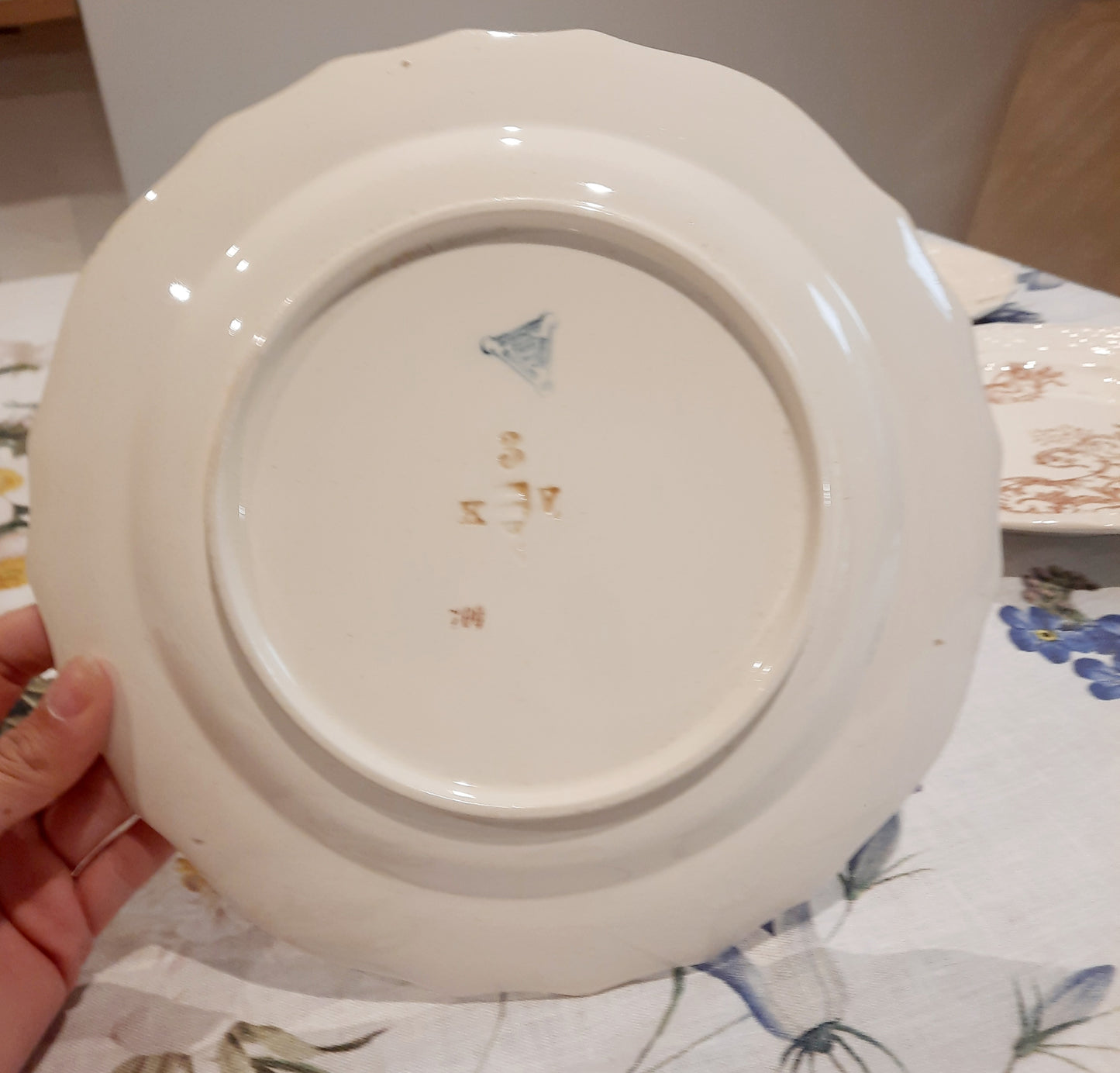 Lot de 6 assiettes plates Manufacture Waechtersbach, XIXe siècle