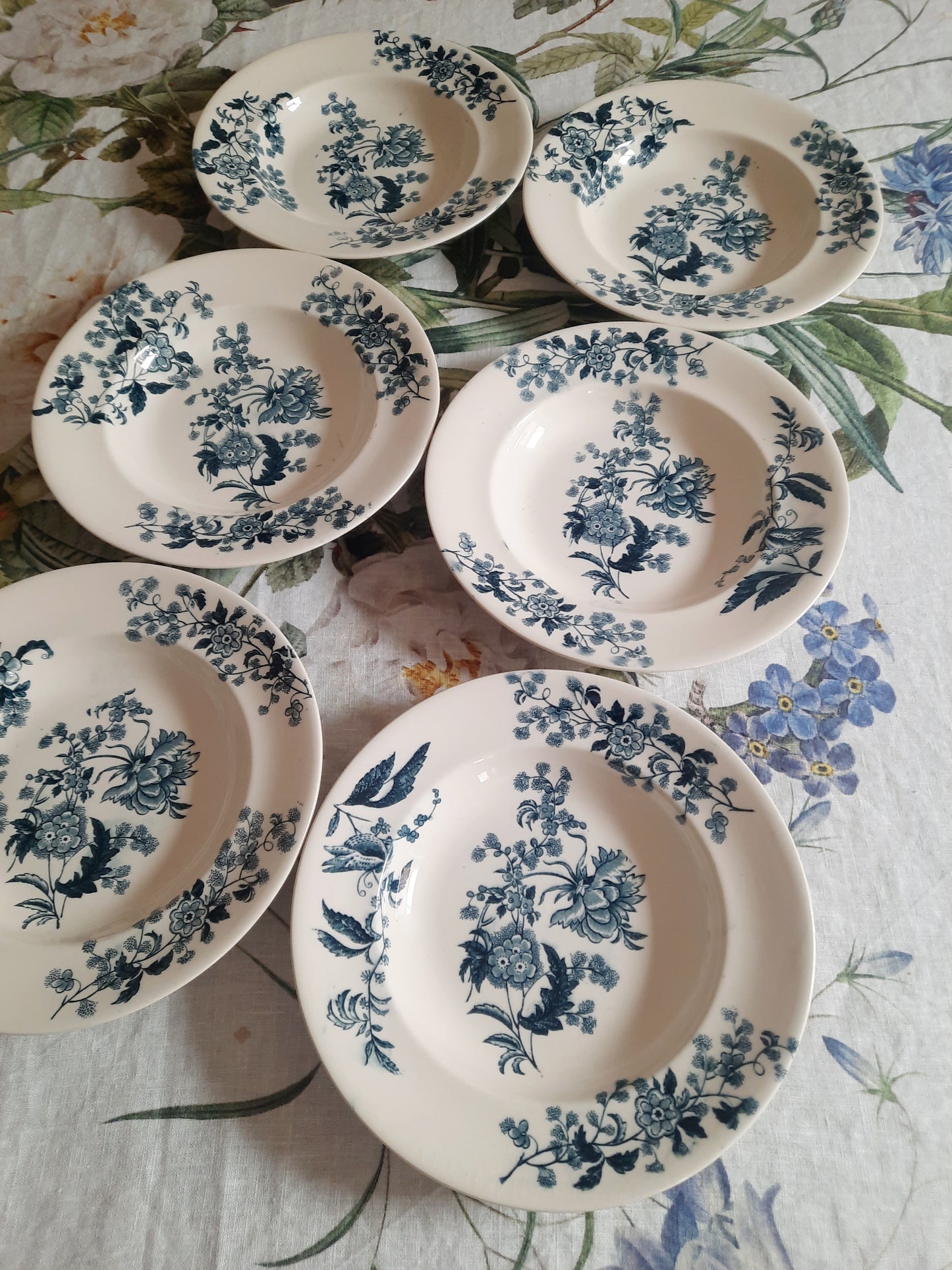 Lot de 6 assiettes creuses – modèle YCHO
