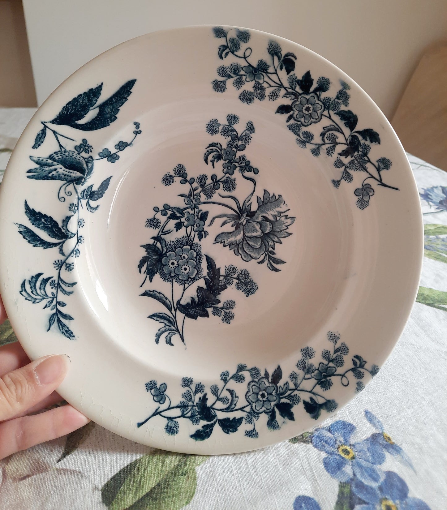 Lot de 6 assiettes creuses – modèle YCHO