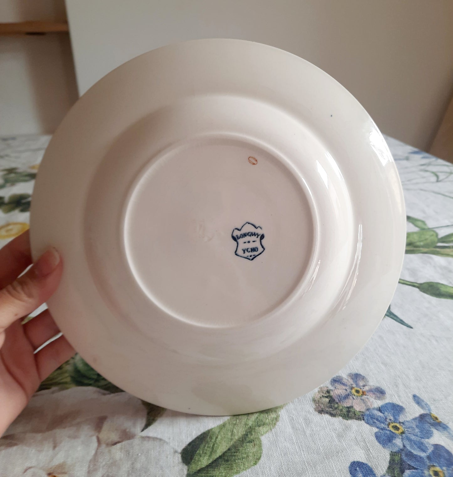 Lot de 6 assiettes creuses – modèle YCHO