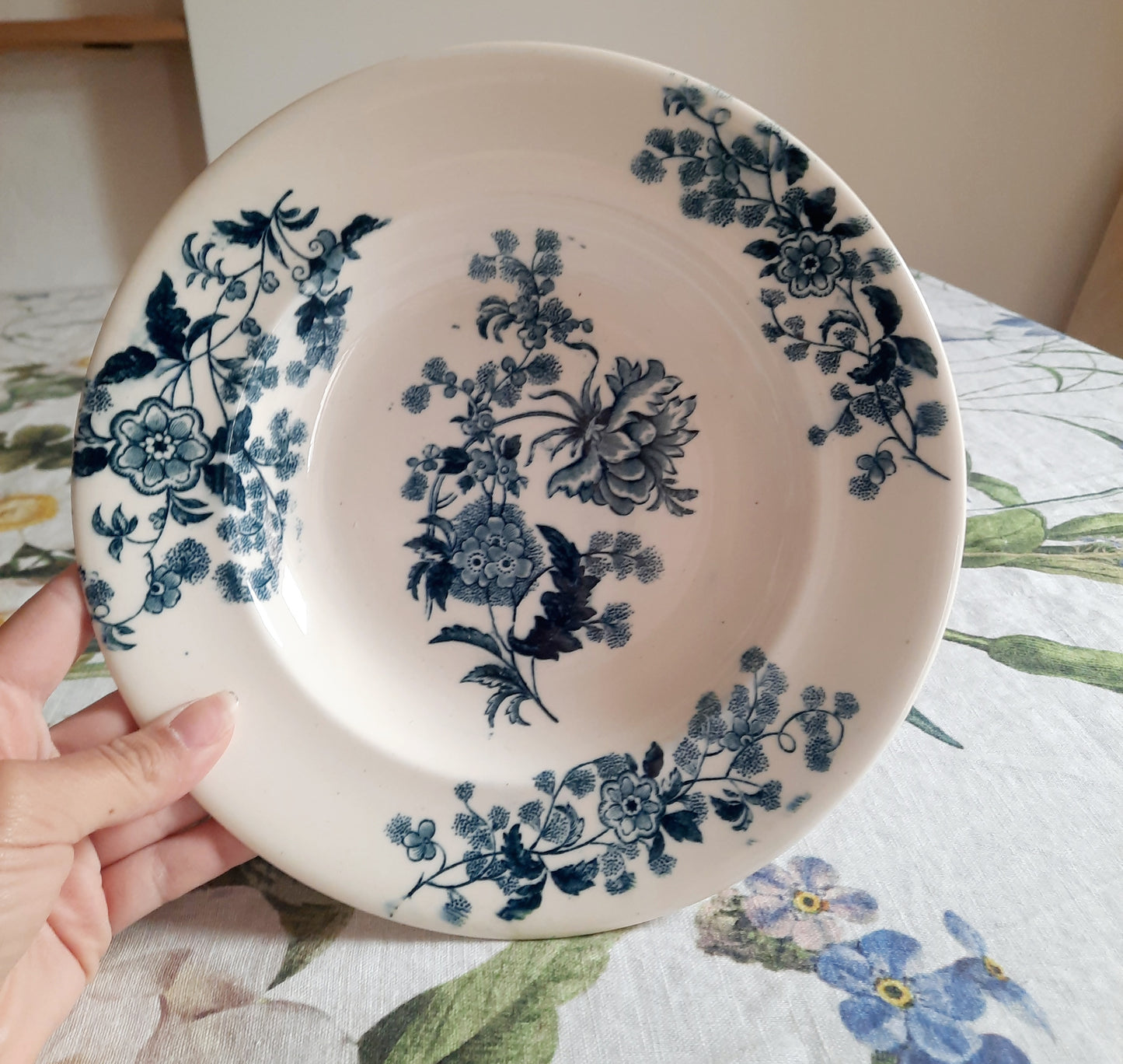 Lot de 6 assiettes creuses – modèle YCHO