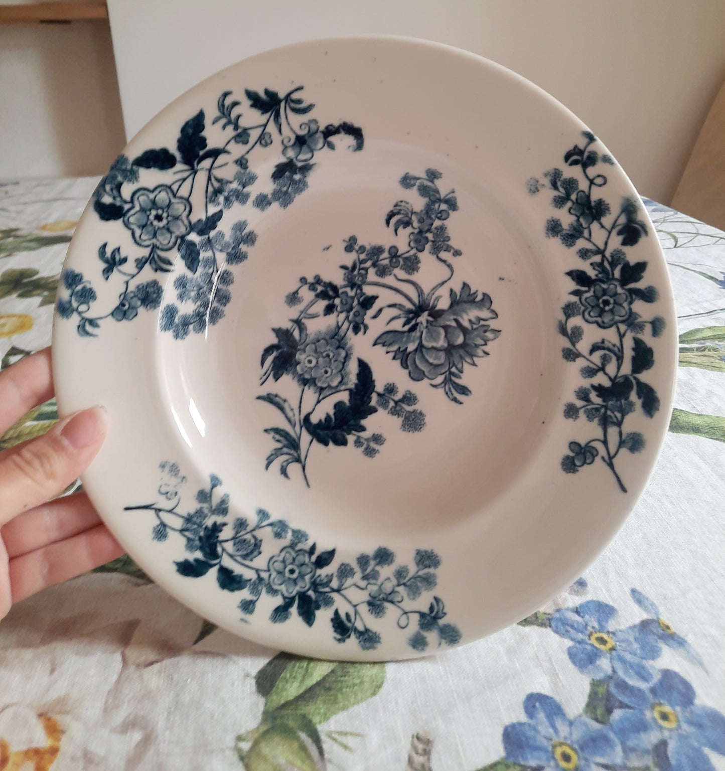 Lot de 6 assiettes creuses – modèle YCHO
