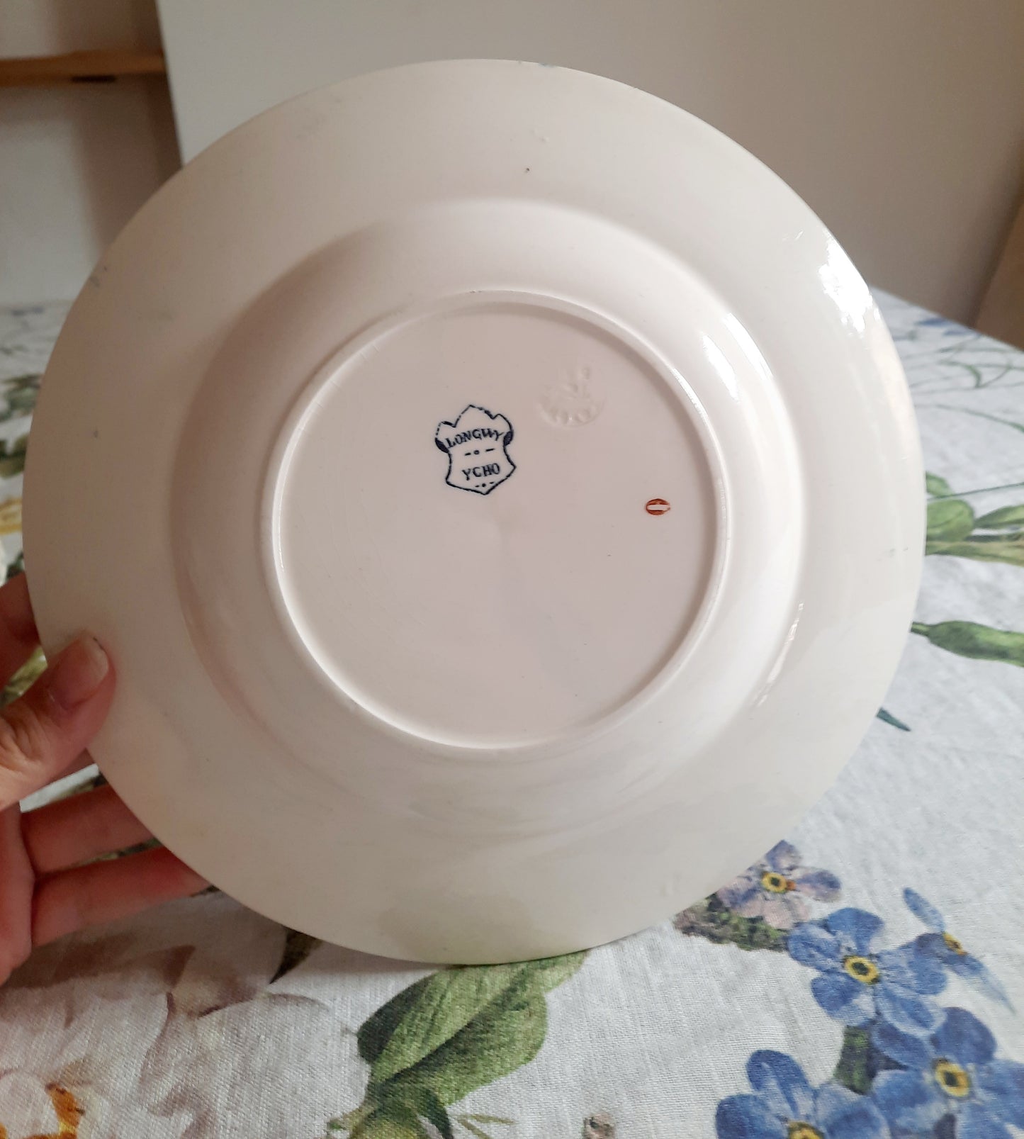 Lot de 6 assiettes creuses – modèle YCHO