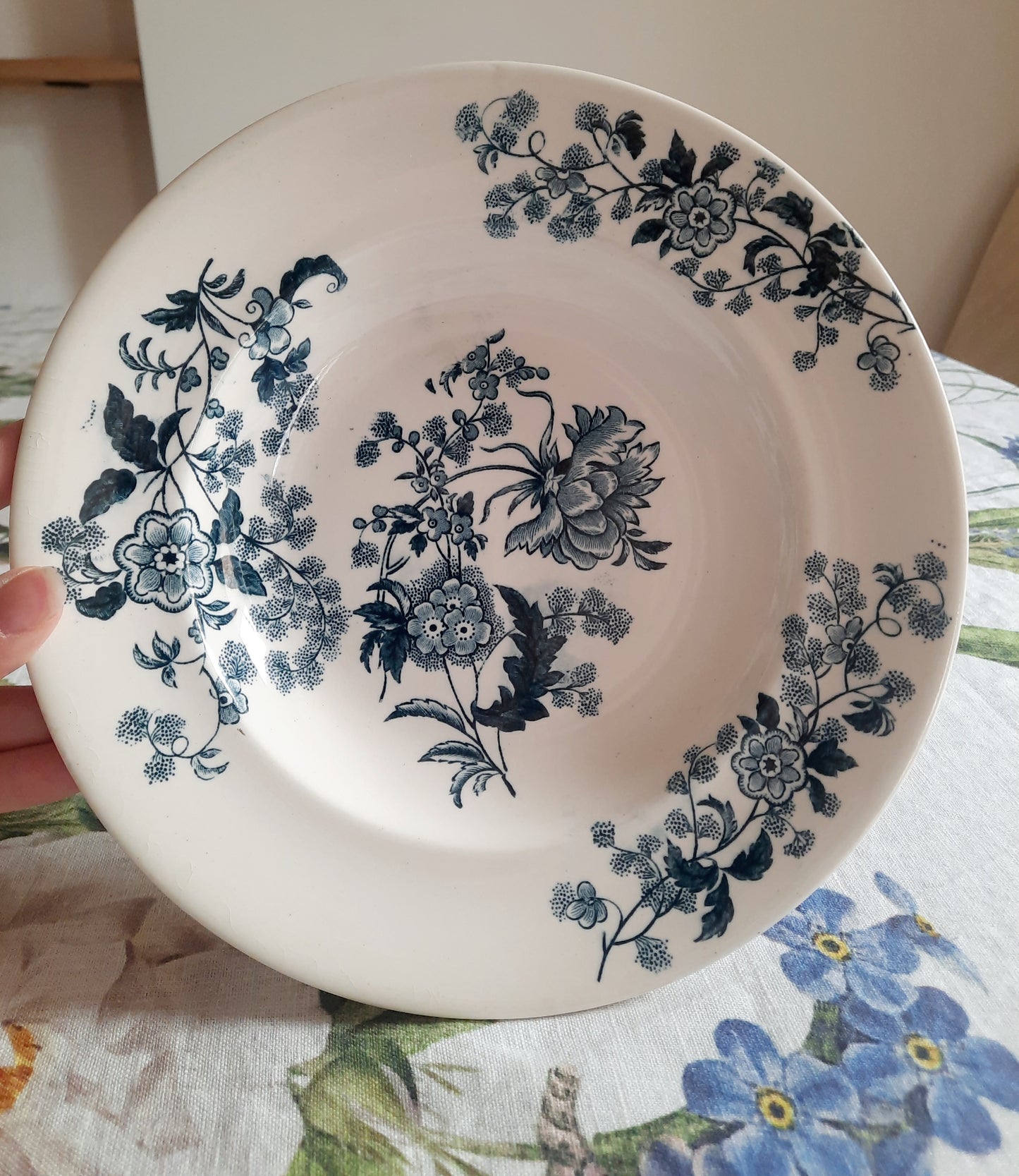 Lot de 6 assiettes creuses – modèle YCHO