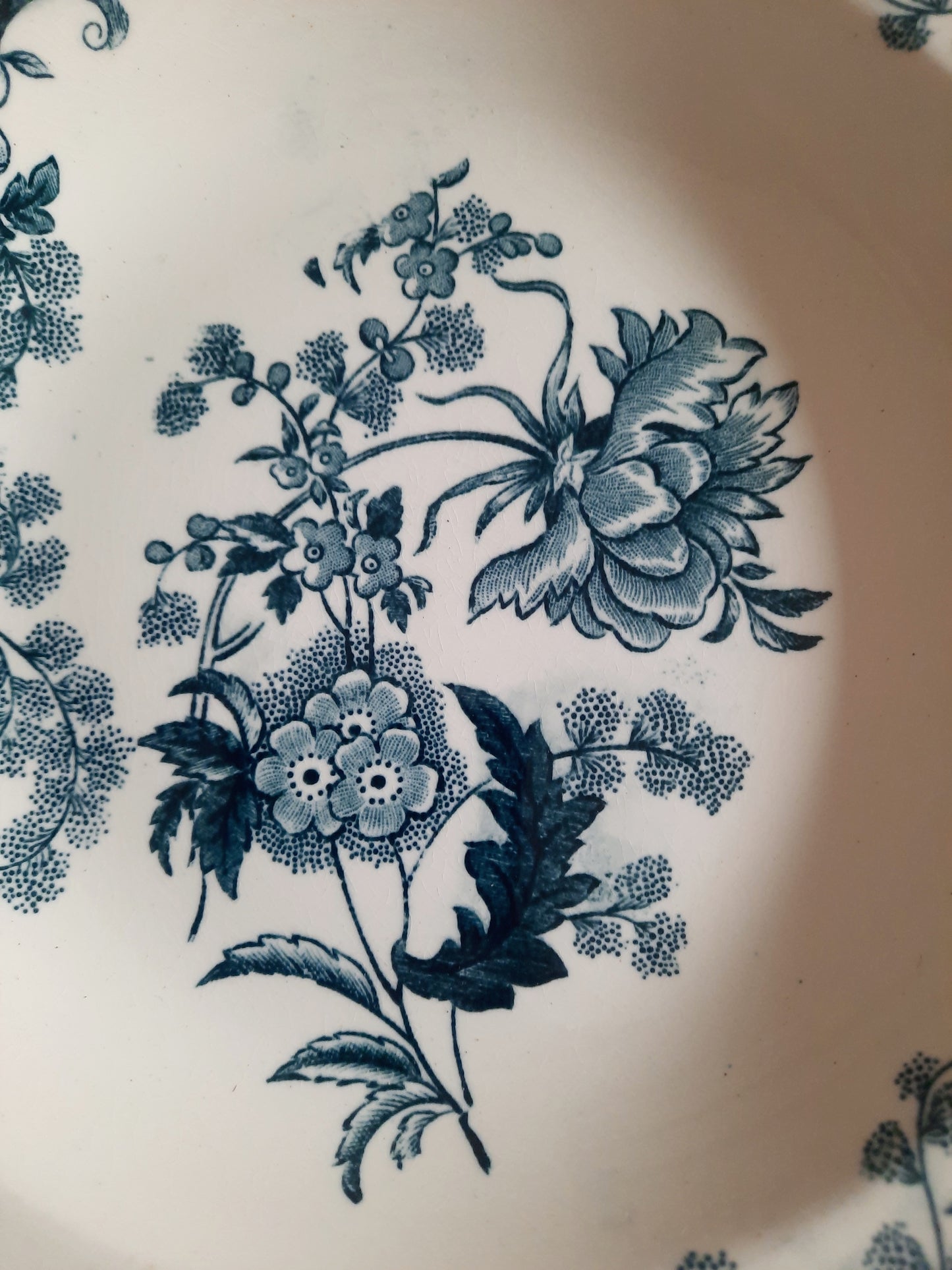 Lot de 6 assiettes creuses – modèle YCHO