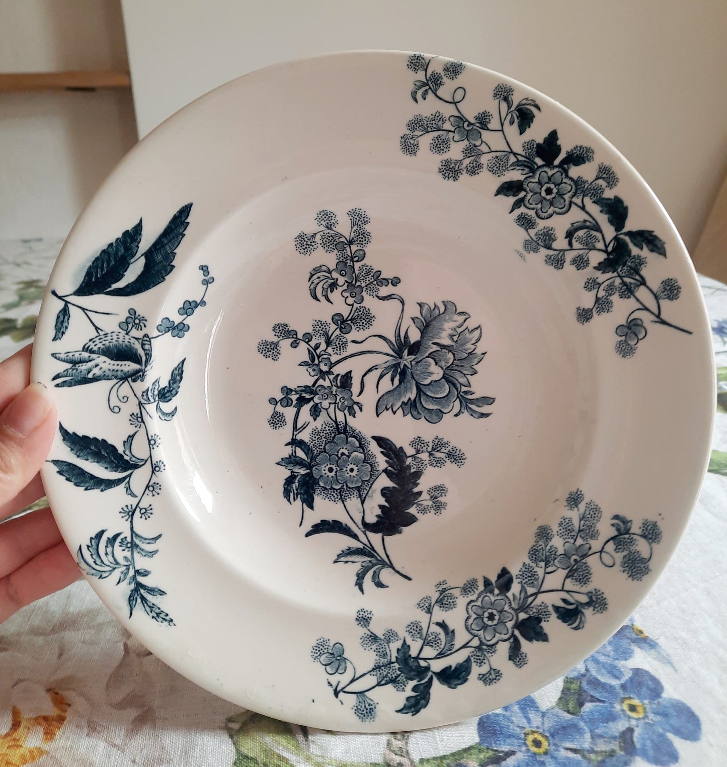 Lot de 6 assiettes creuses – modèle YCHO