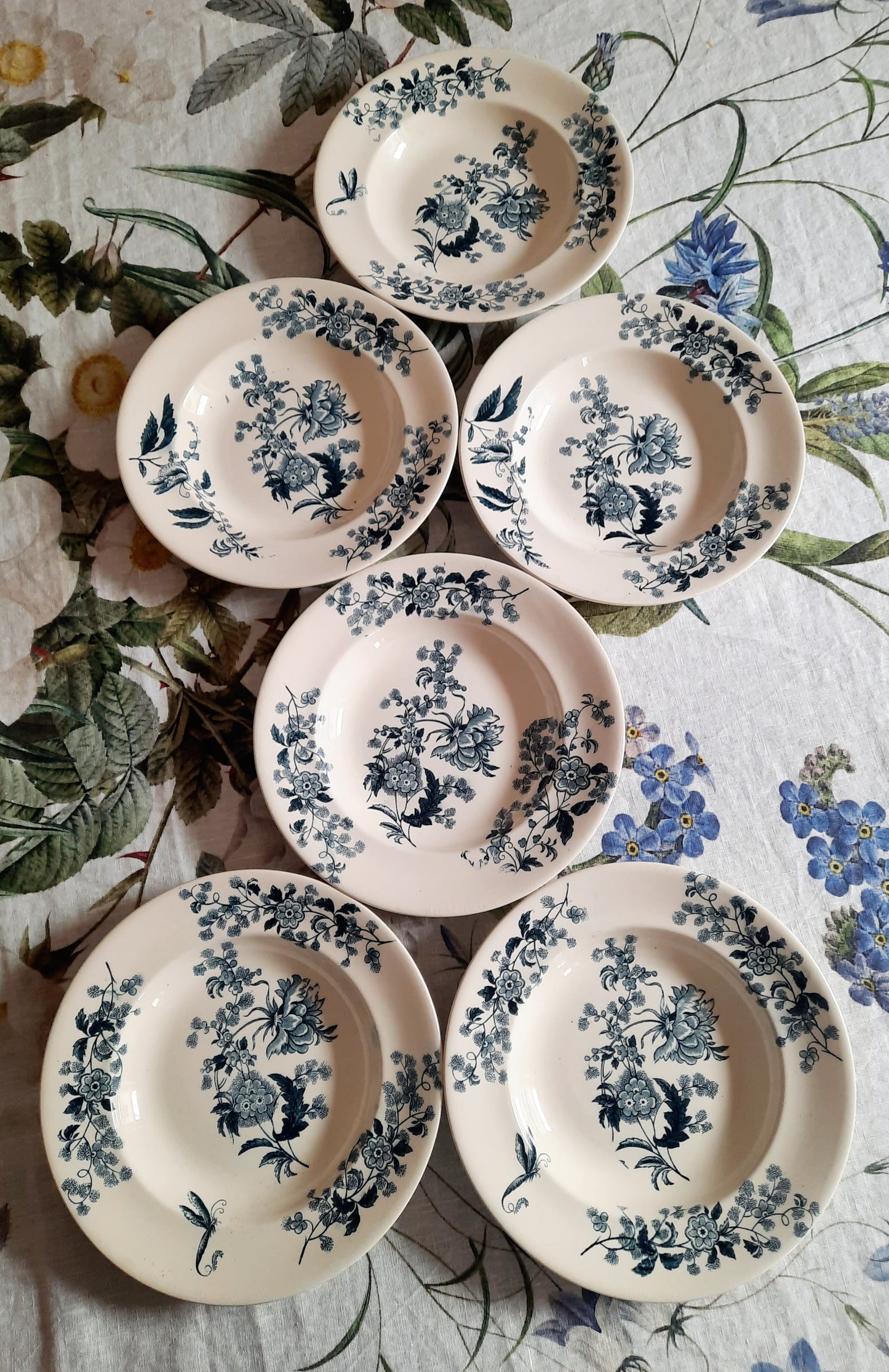 Lot de 6 assiettes creuses – modèle YCHO