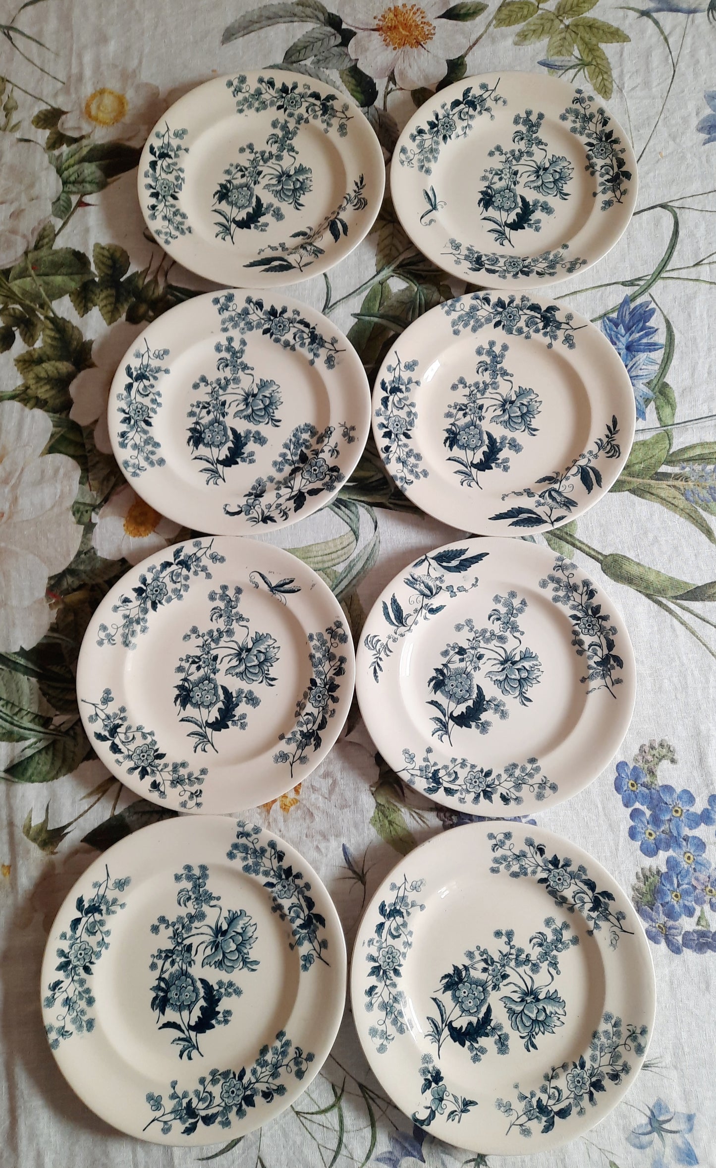 Lot de 8 assiettes plates – modèle YCHO