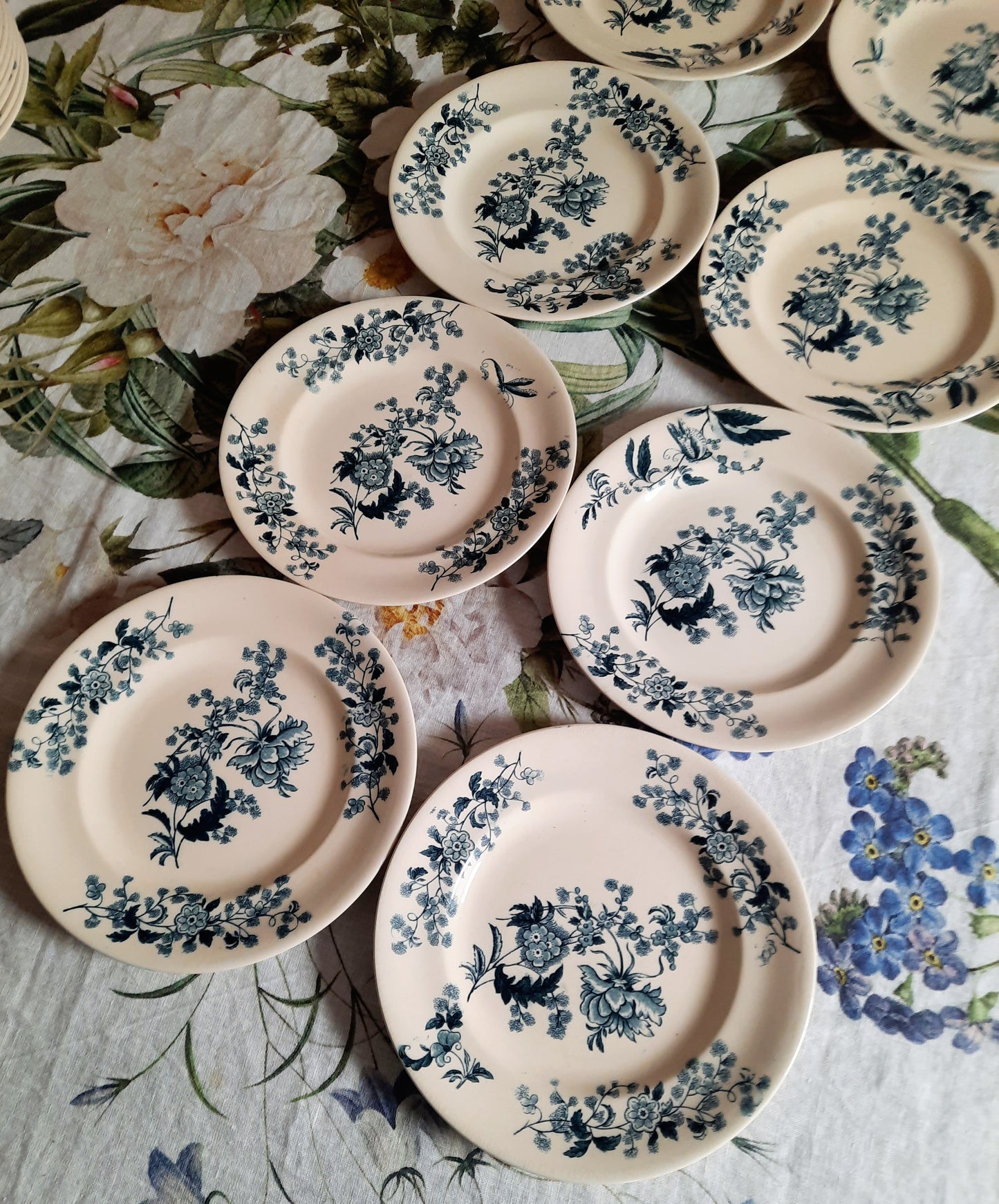 Lot de 8 assiettes plates – modèle YCHO