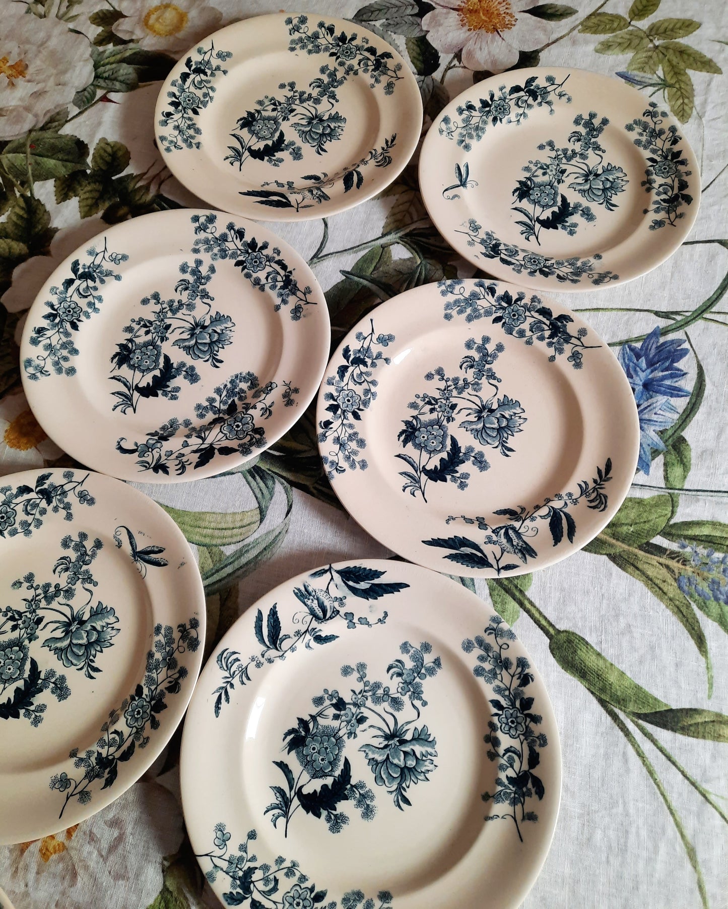Lot de 8 assiettes plates – modèle YCHO