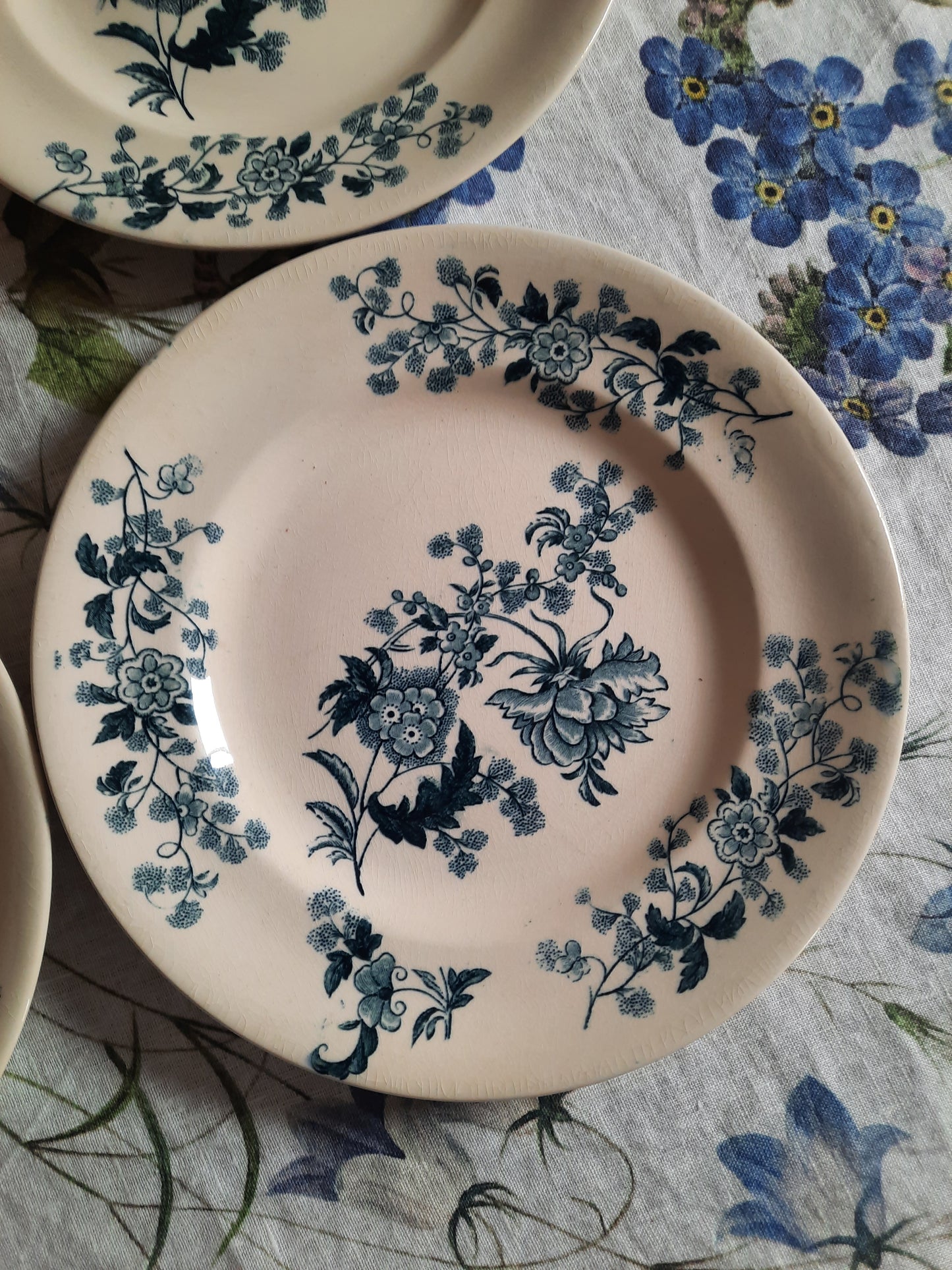 Lot de 8 assiettes plates – modèle YCHO