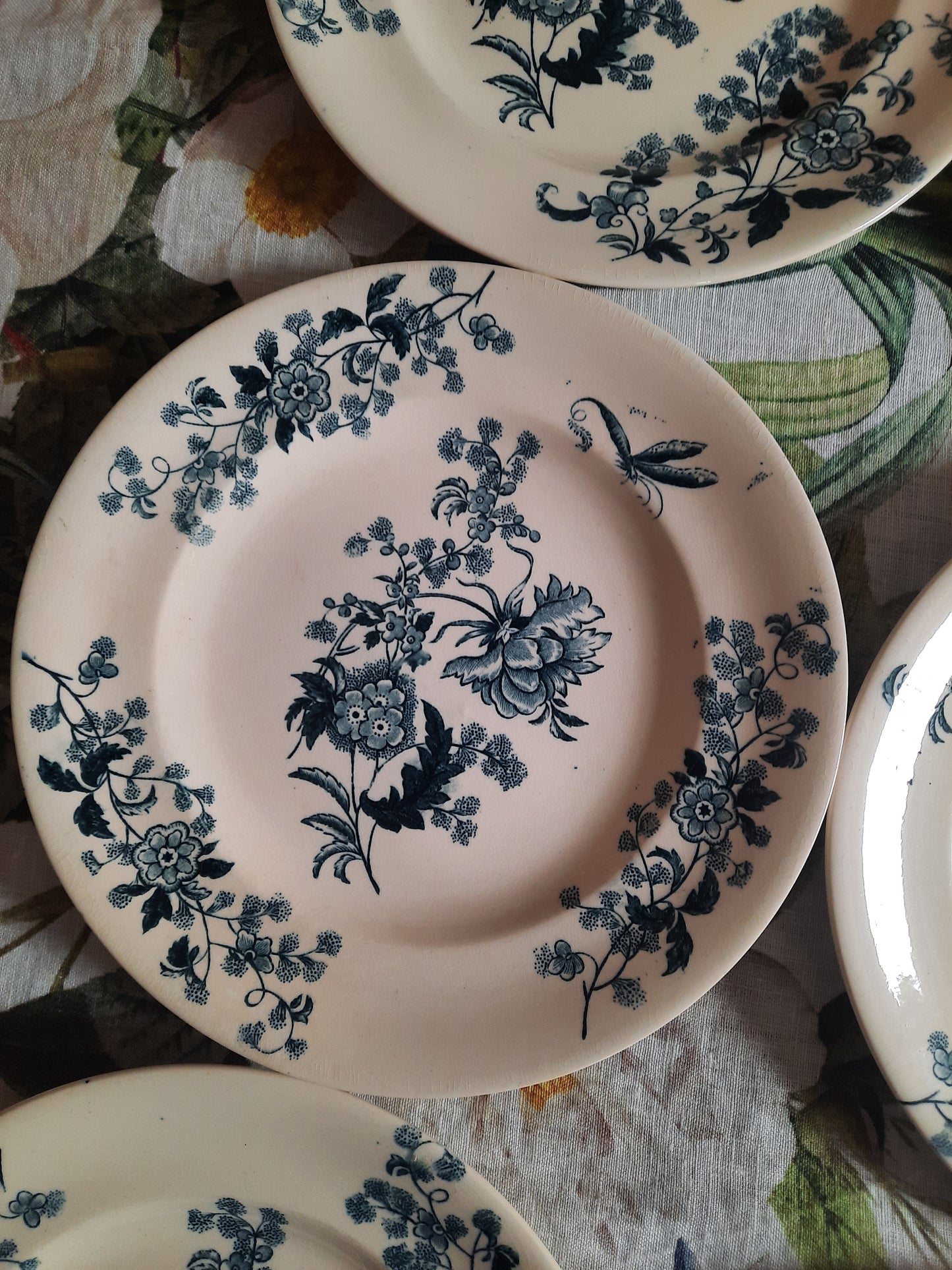 Lot de 8 assiettes plates – modèle YCHO