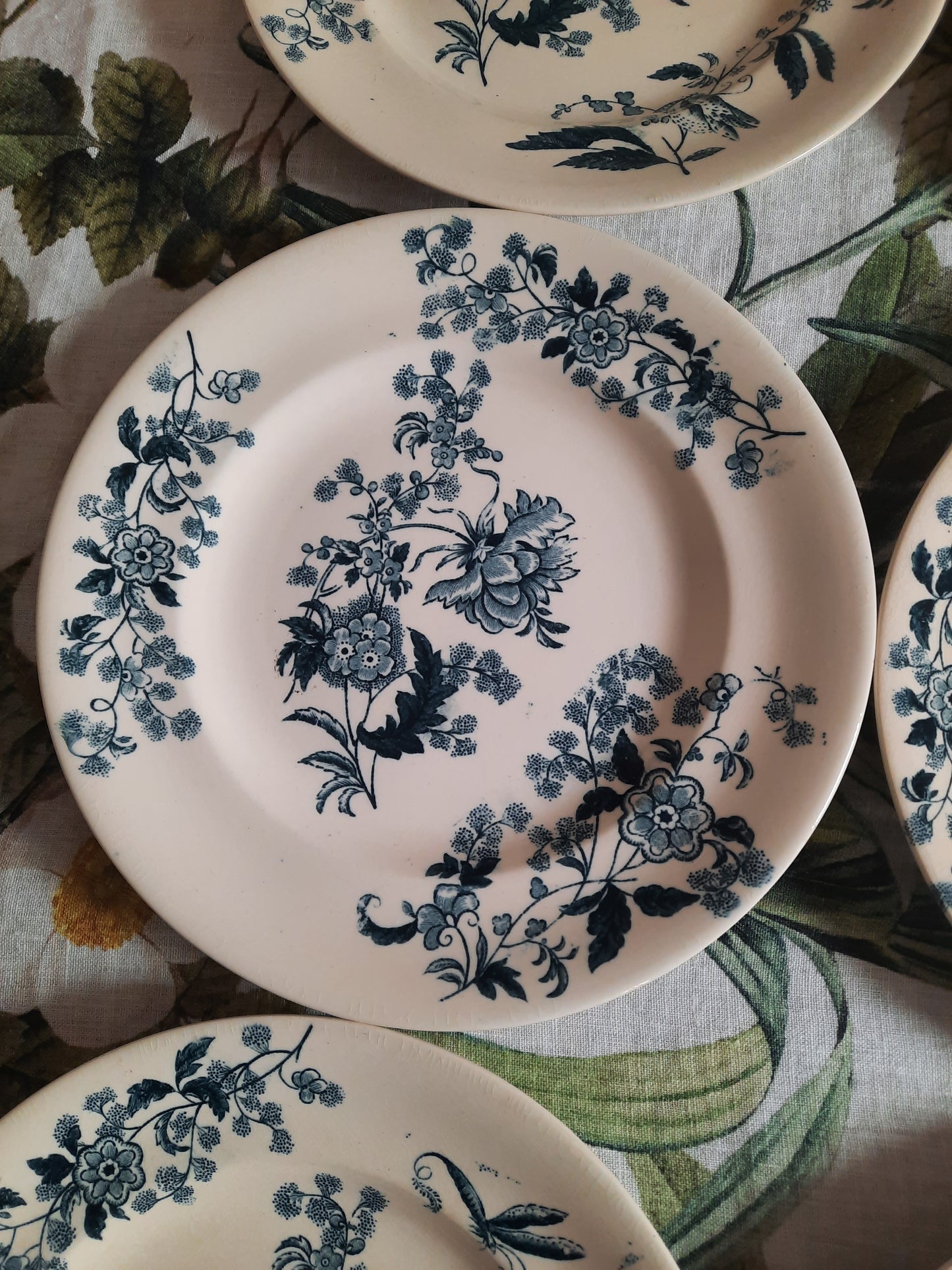 Lot de 8 assiettes plates – modèle YCHO