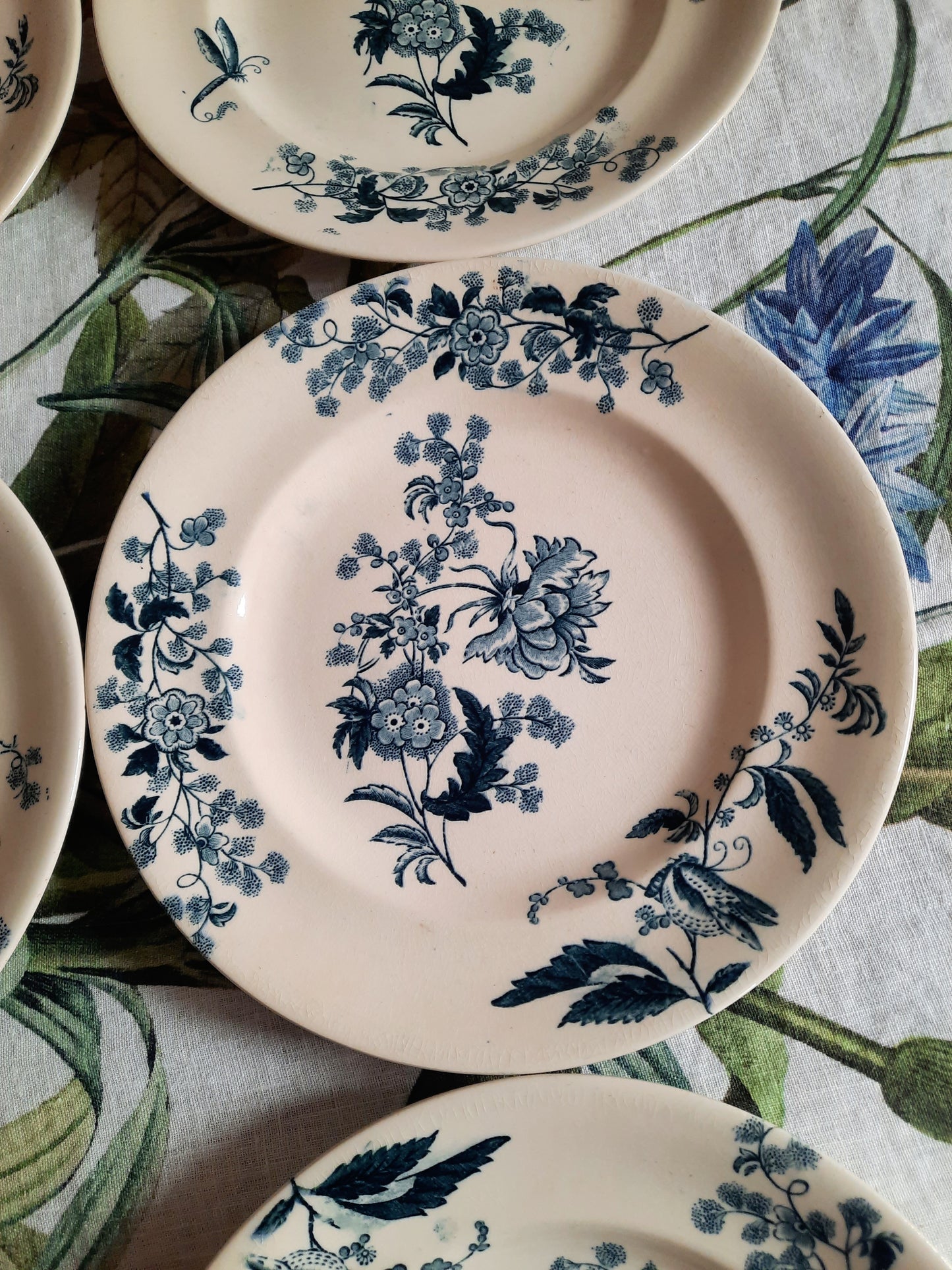Lot de 8 assiettes plates – modèle YCHO