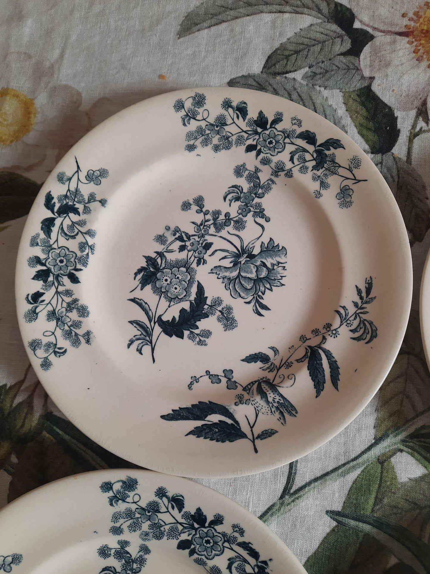 Lot de 8 assiettes plates – modèle YCHO