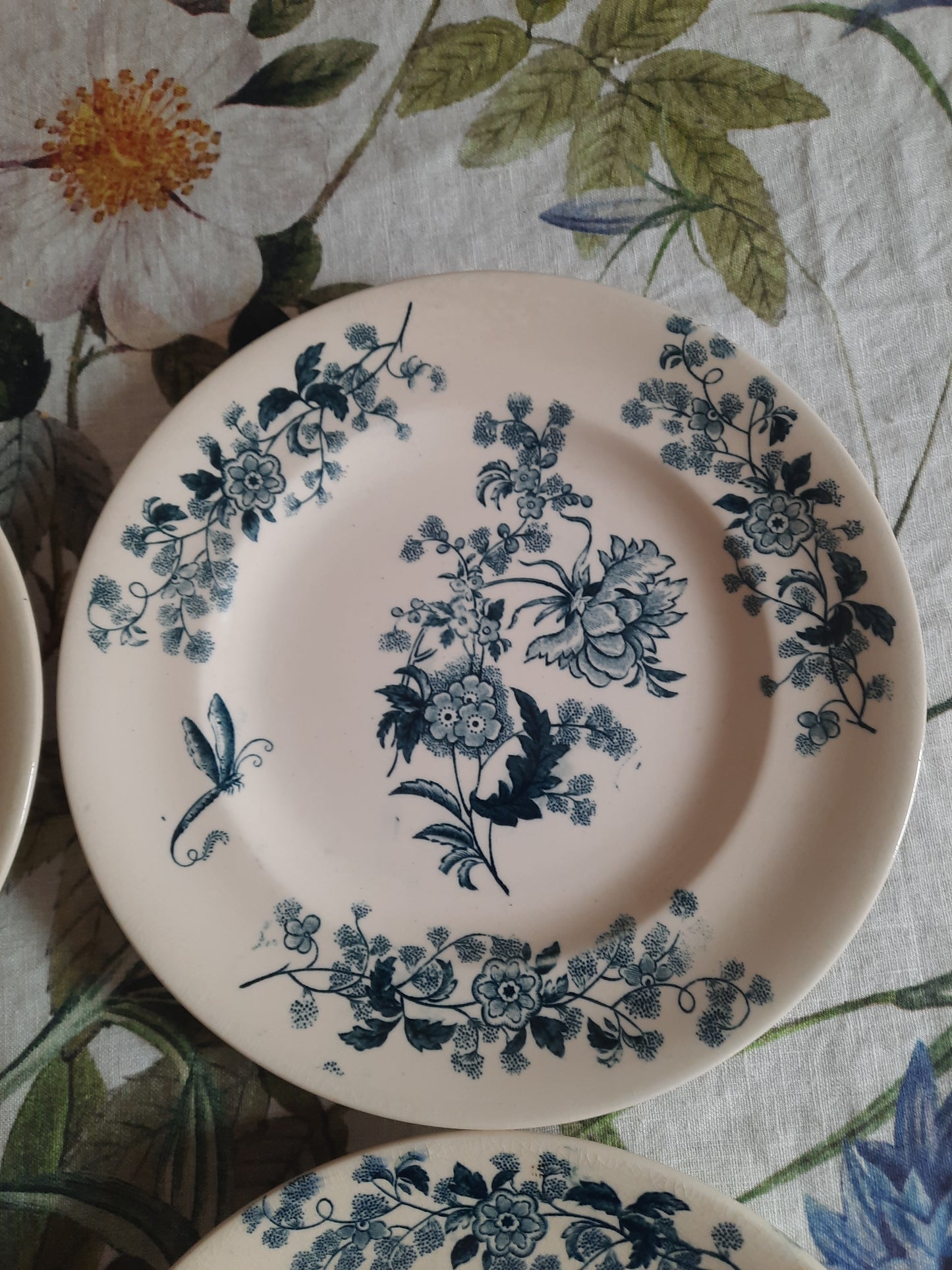 Lot de 8 assiettes plates – modèle YCHO