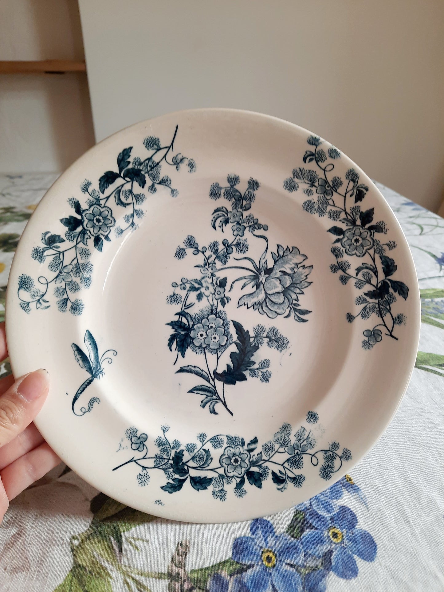Lot de 8 assiettes plates – modèle YCHO