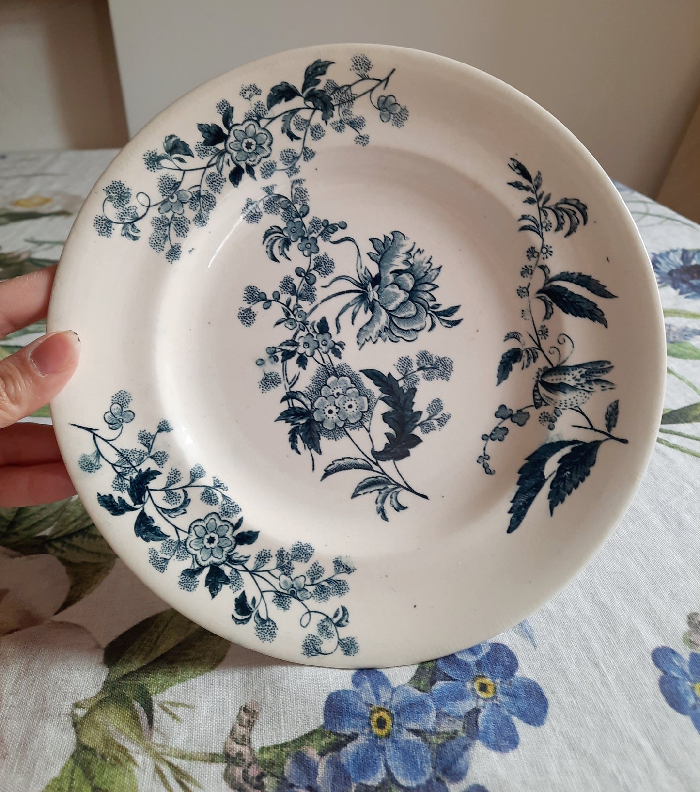 Lot de 8 assiettes plates – modèle YCHO