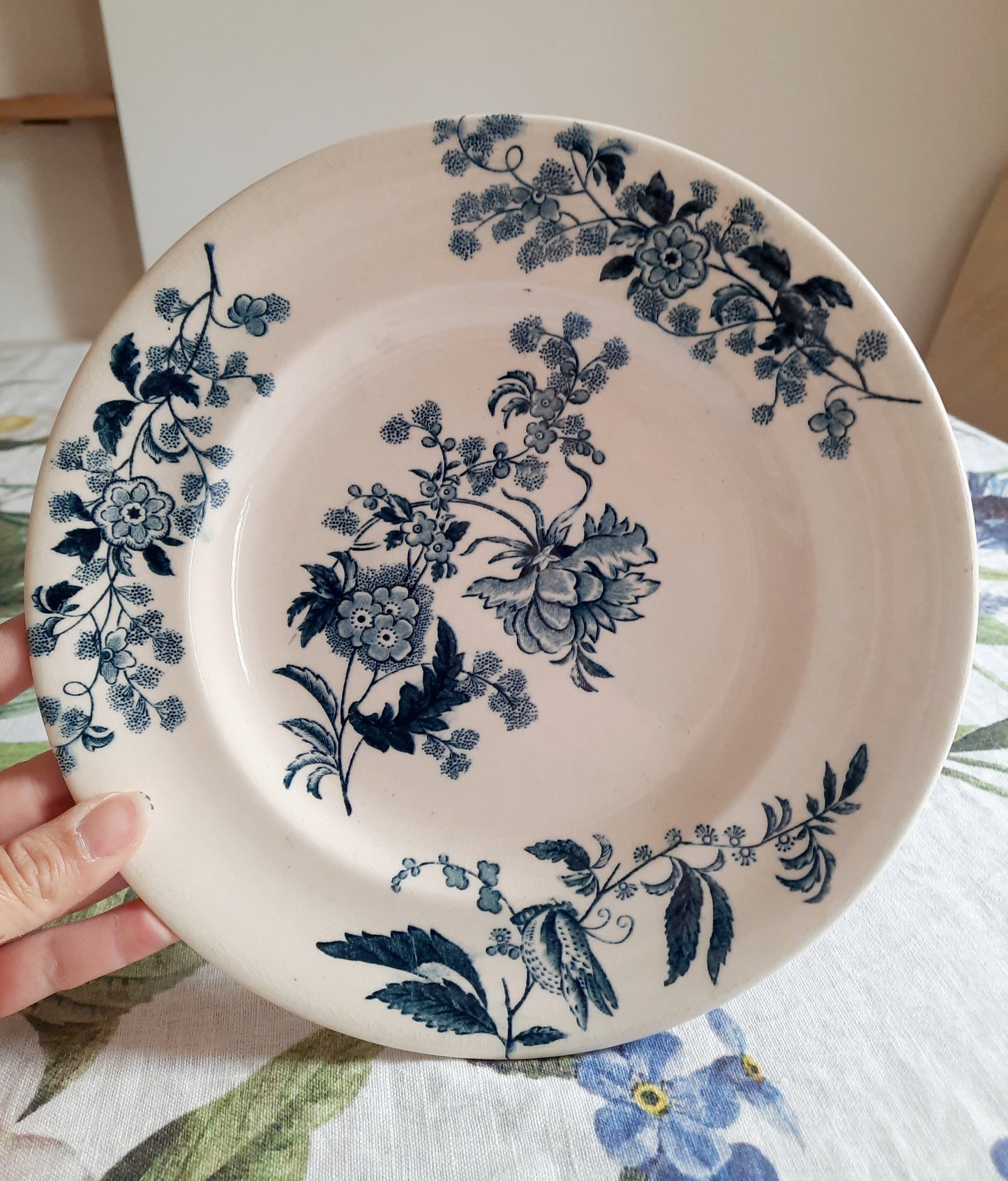 Lot de 8 assiettes plates – modèle YCHO