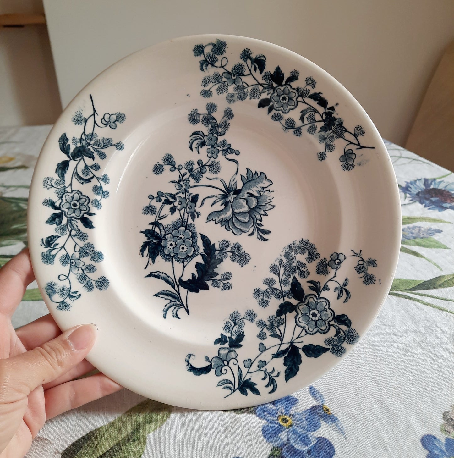 Lot de 8 assiettes plates – modèle YCHO