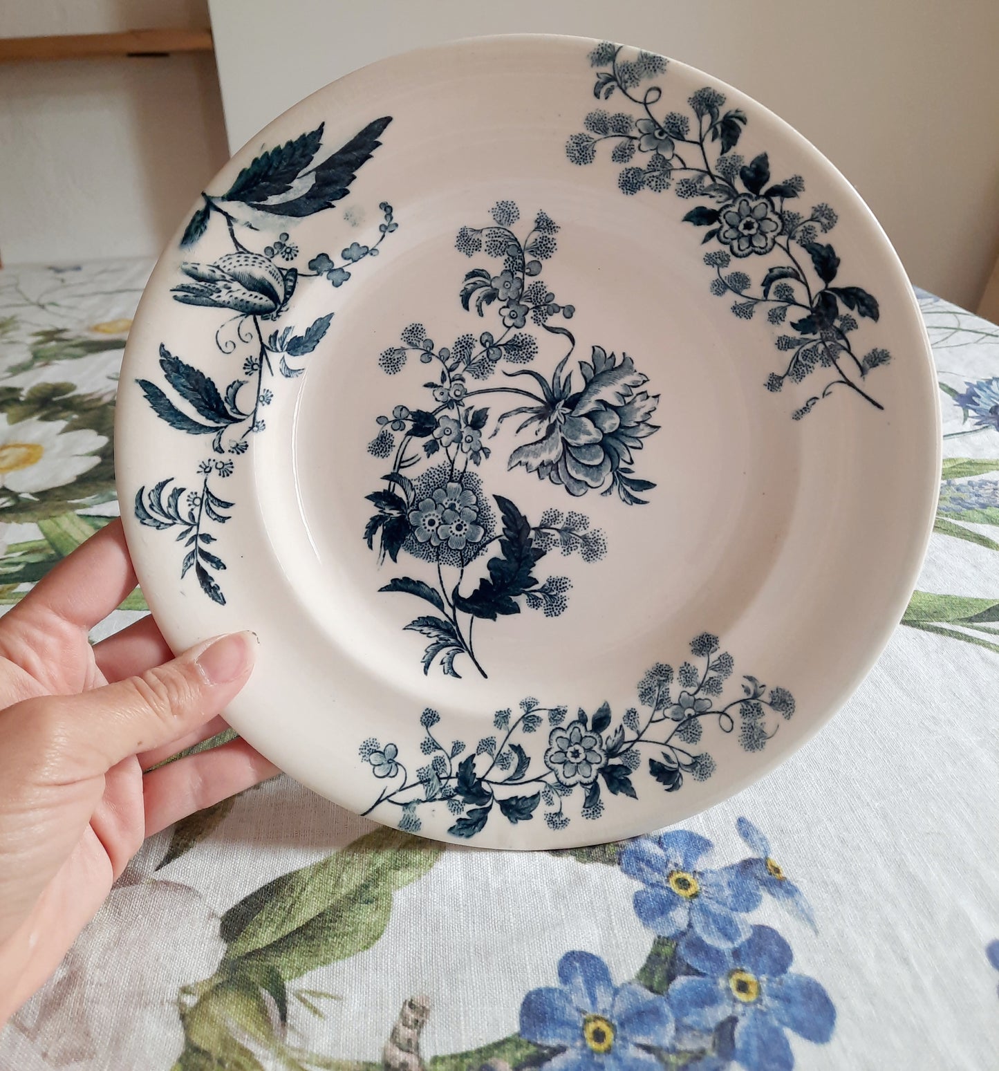 Lot de 8 assiettes plates – modèle YCHO
