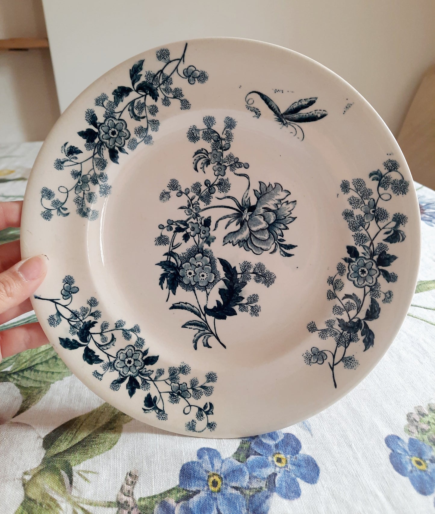 Lot de 8 assiettes plates – modèle YCHO