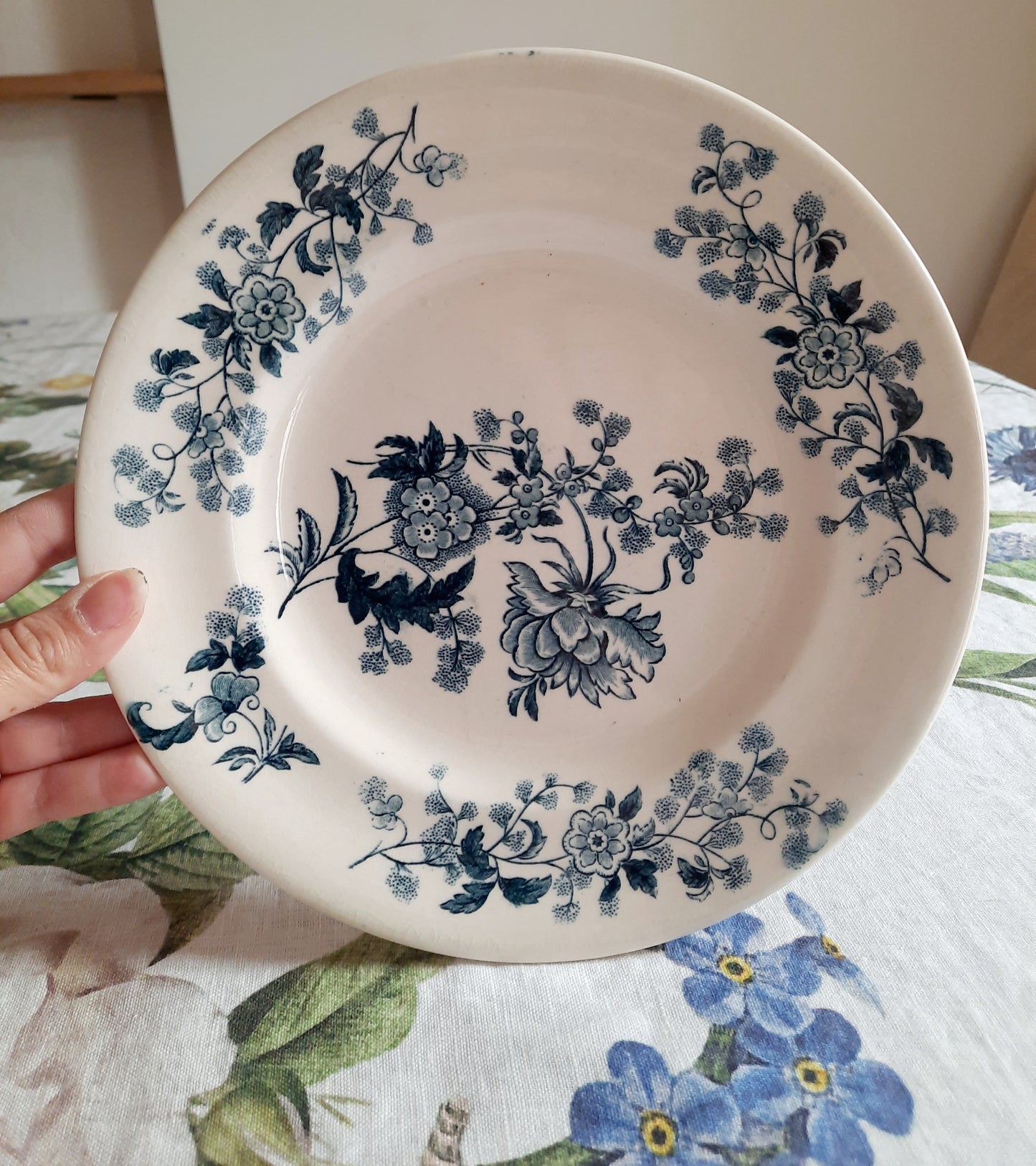 Lot de 8 assiettes plates – modèle YCHO