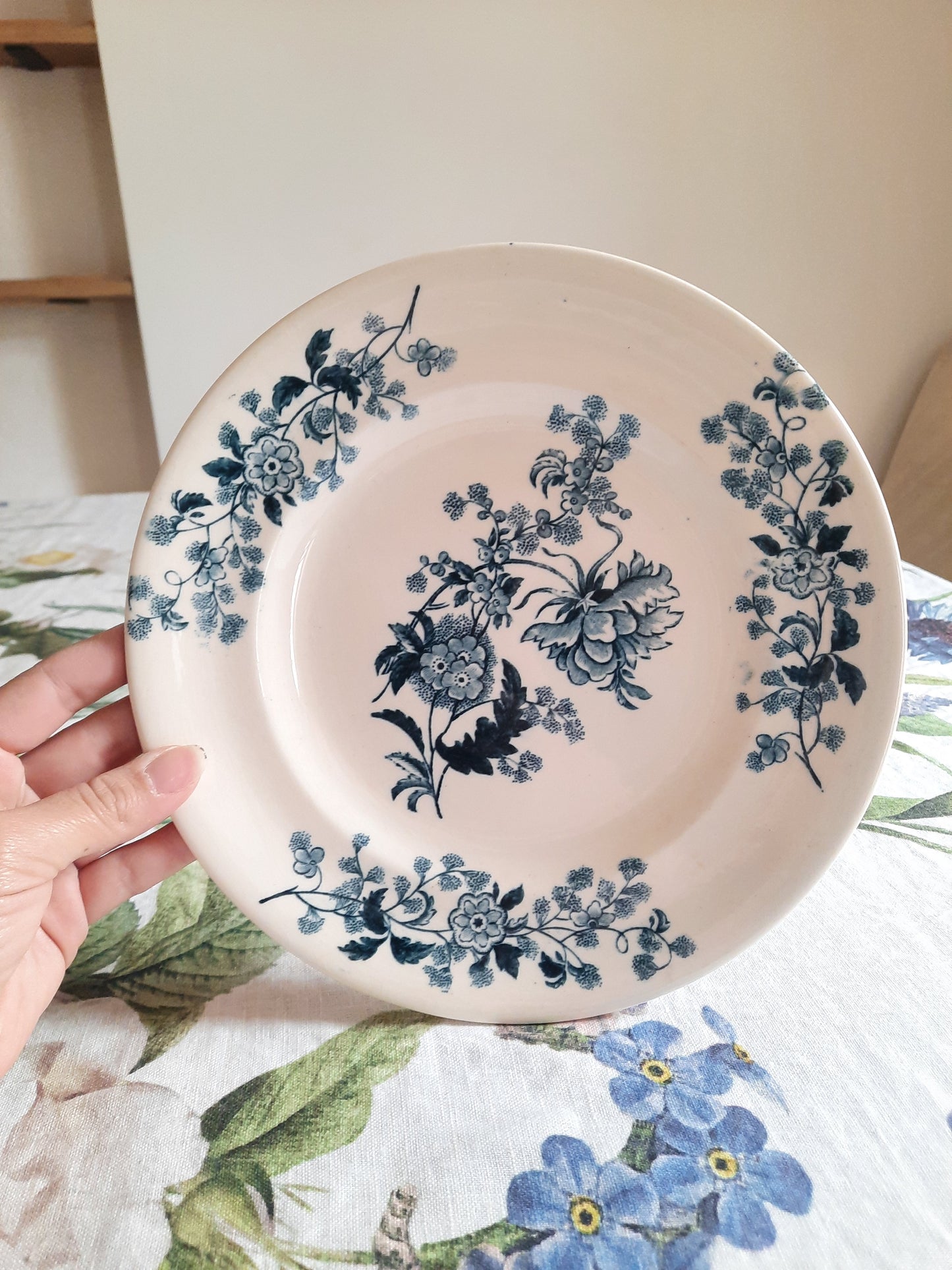Lot de 8 assiettes plates – modèle YCHO