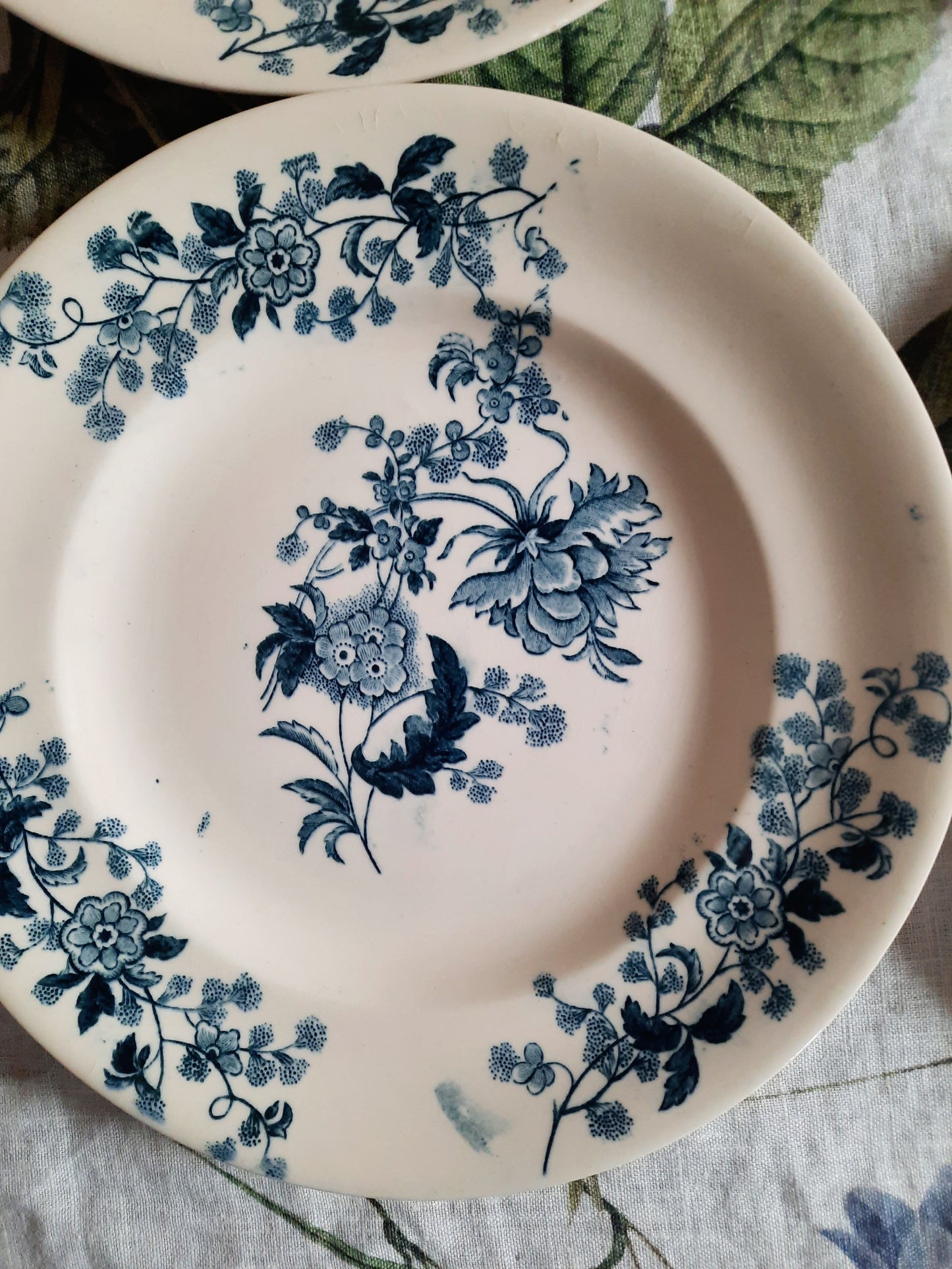 Lot de 6 assiettes plates – modèle YCHO