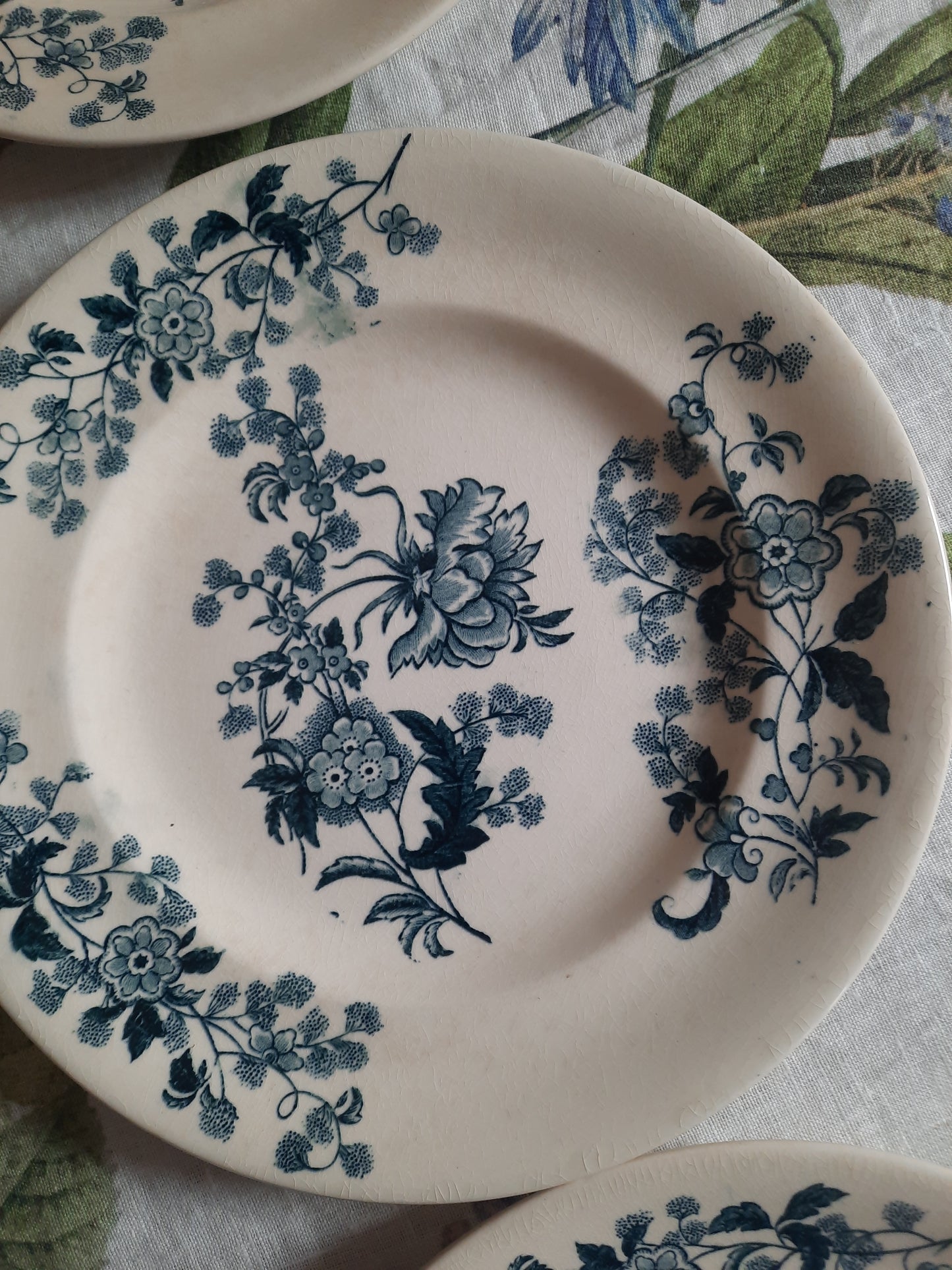 Lot de 6 assiettes plates – modèle YCHO