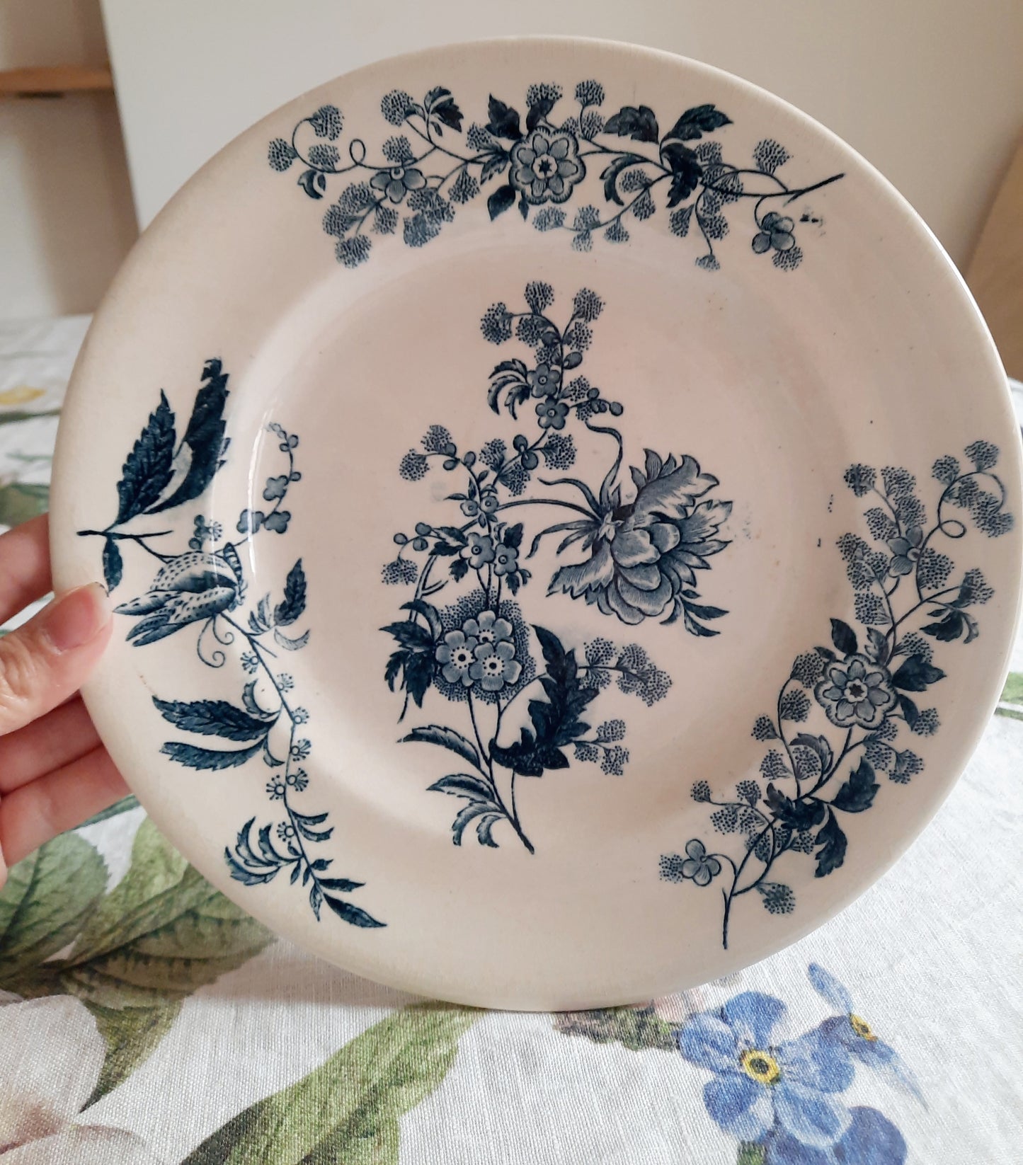 Lot de 6 assiettes plates – modèle YCHO