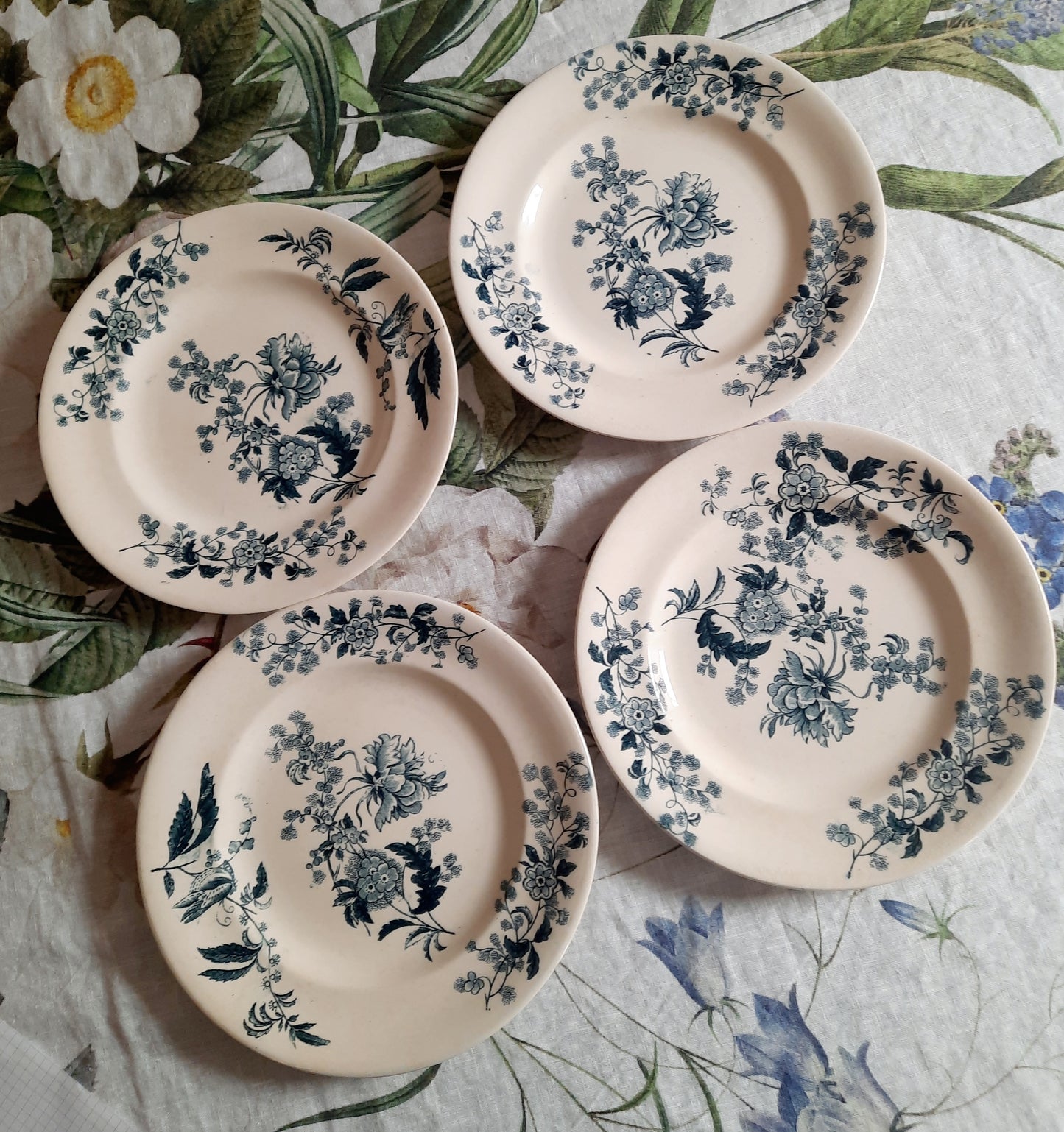 Lot de 4 assiettes plates – modèle YCHO