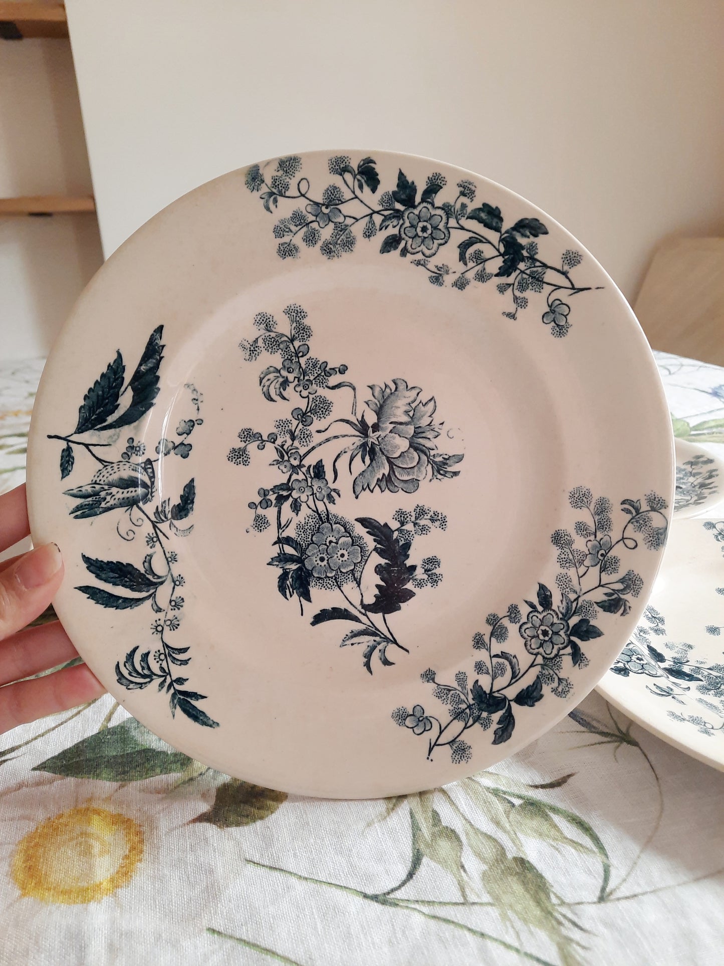 Lot de 4 assiettes plates – modèle YCHO