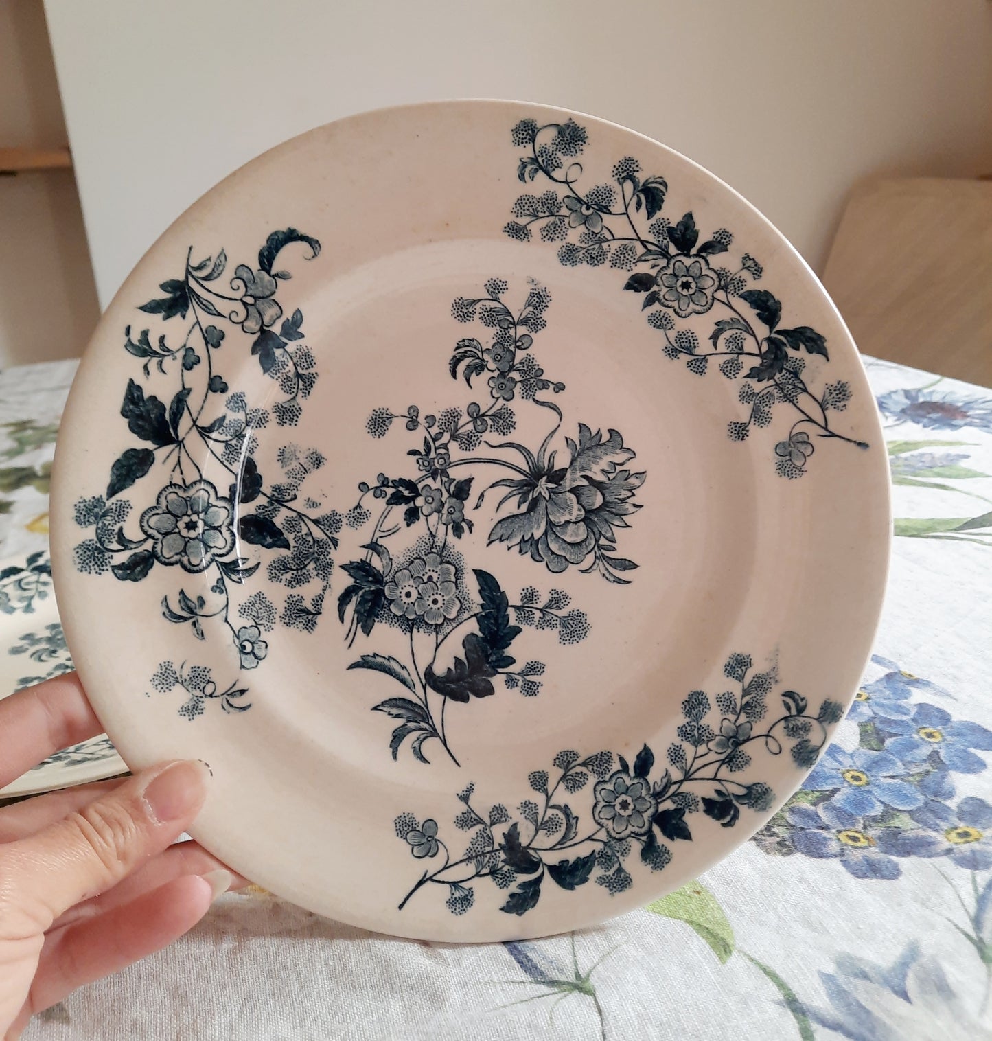 Lot de 4 assiettes plates – modèle YCHO