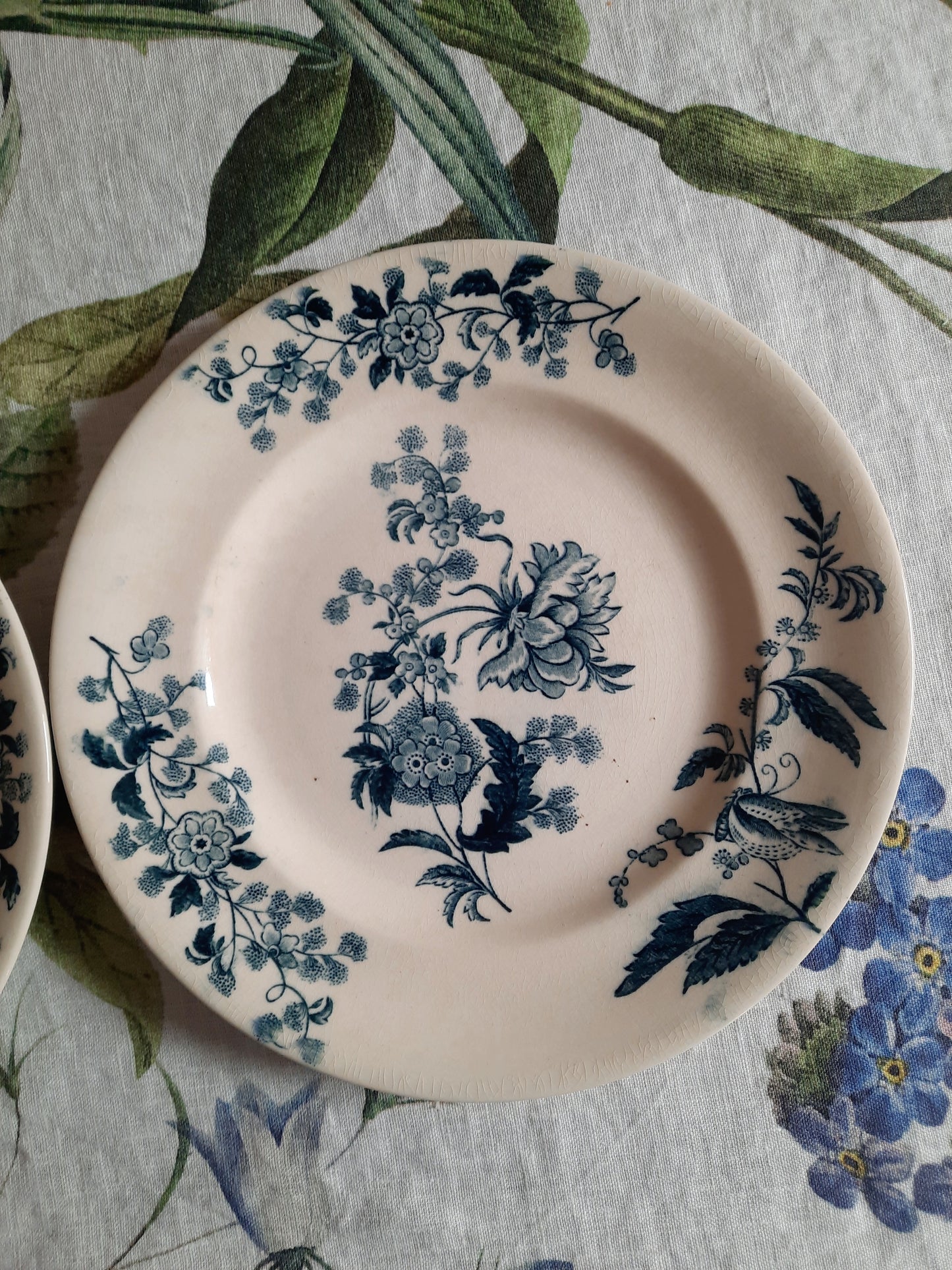 Lot de 2 assiettes plates – modèle YCHO