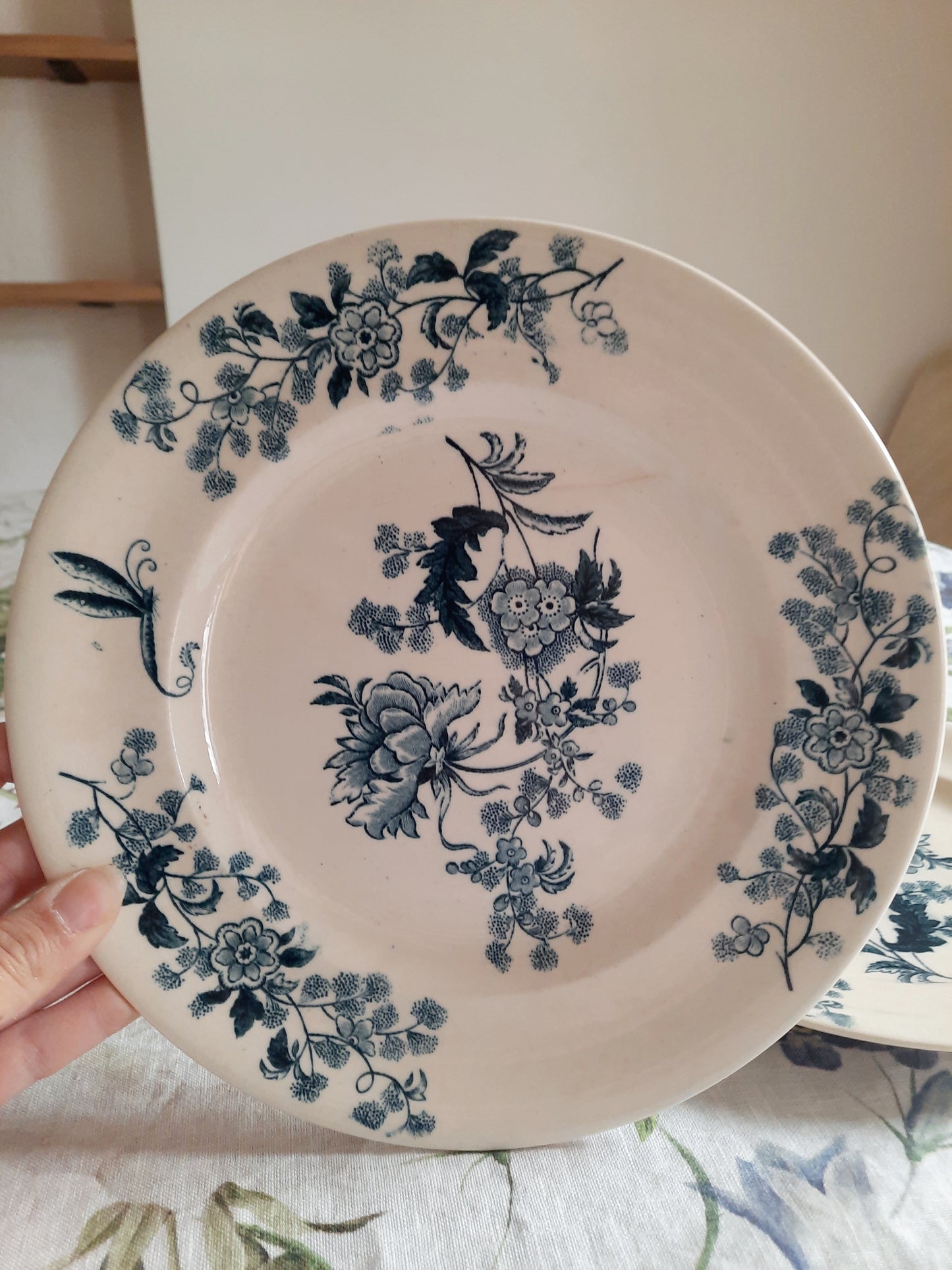 Lot de 2 assiettes plates – modèle YCHO