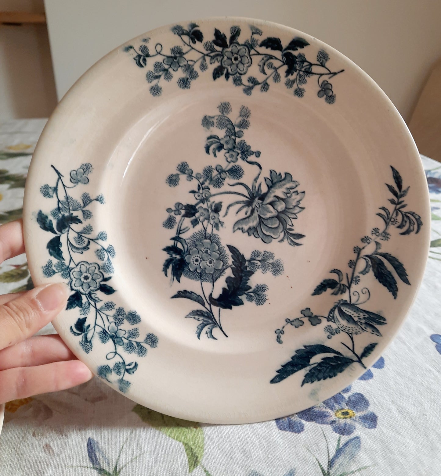 Lot de 2 assiettes plates – modèle YCHO