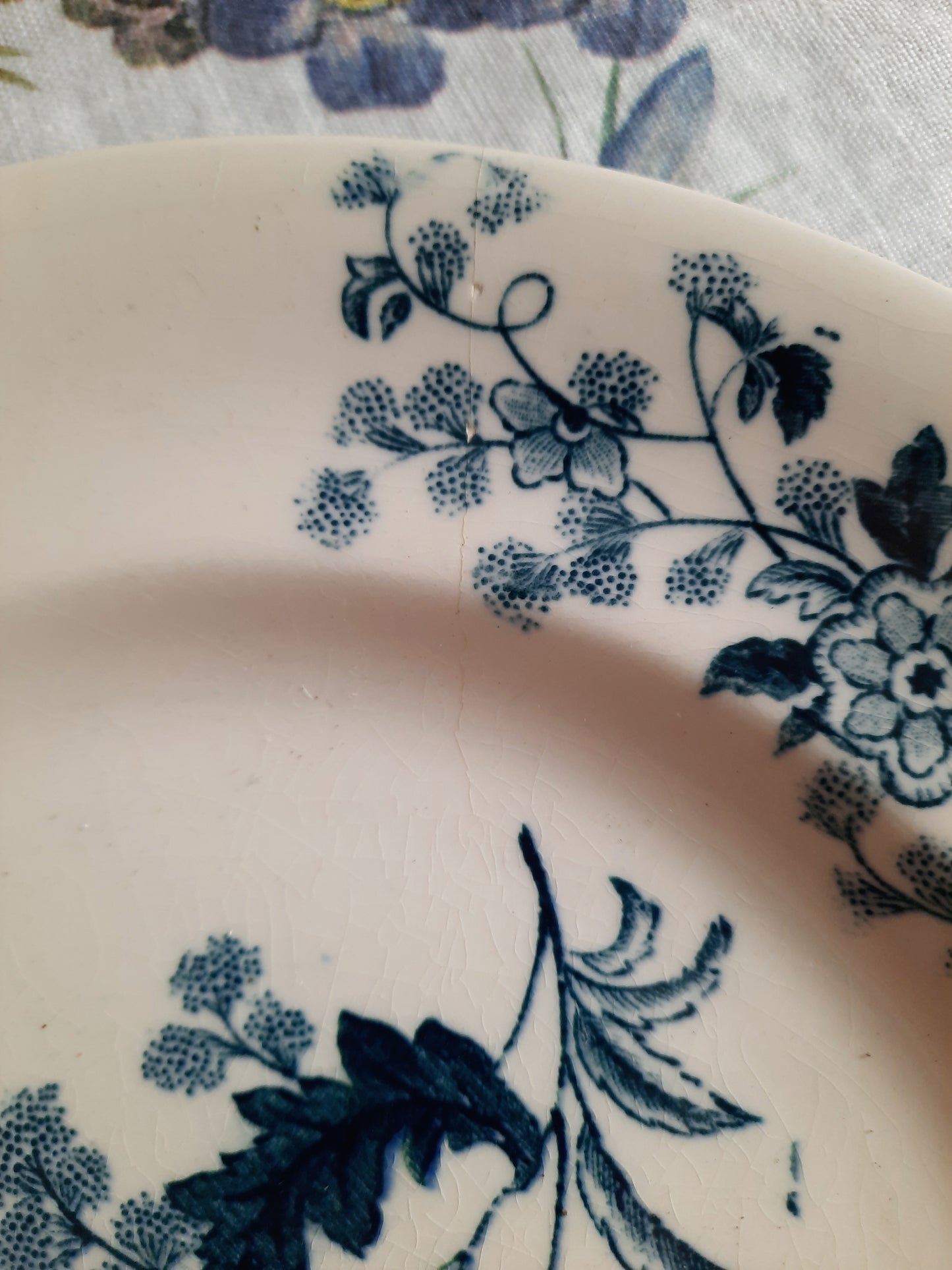 Assiette plate – modèle YCHO